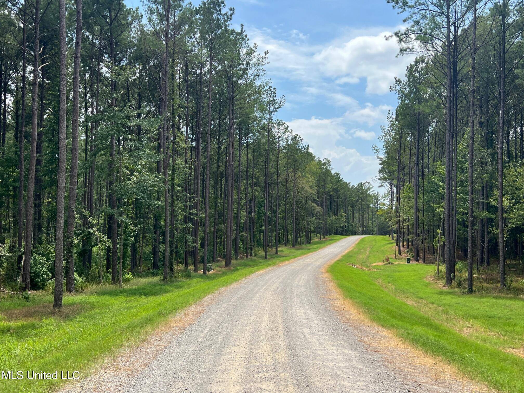 Flora, MS 39071,Springwood Trail