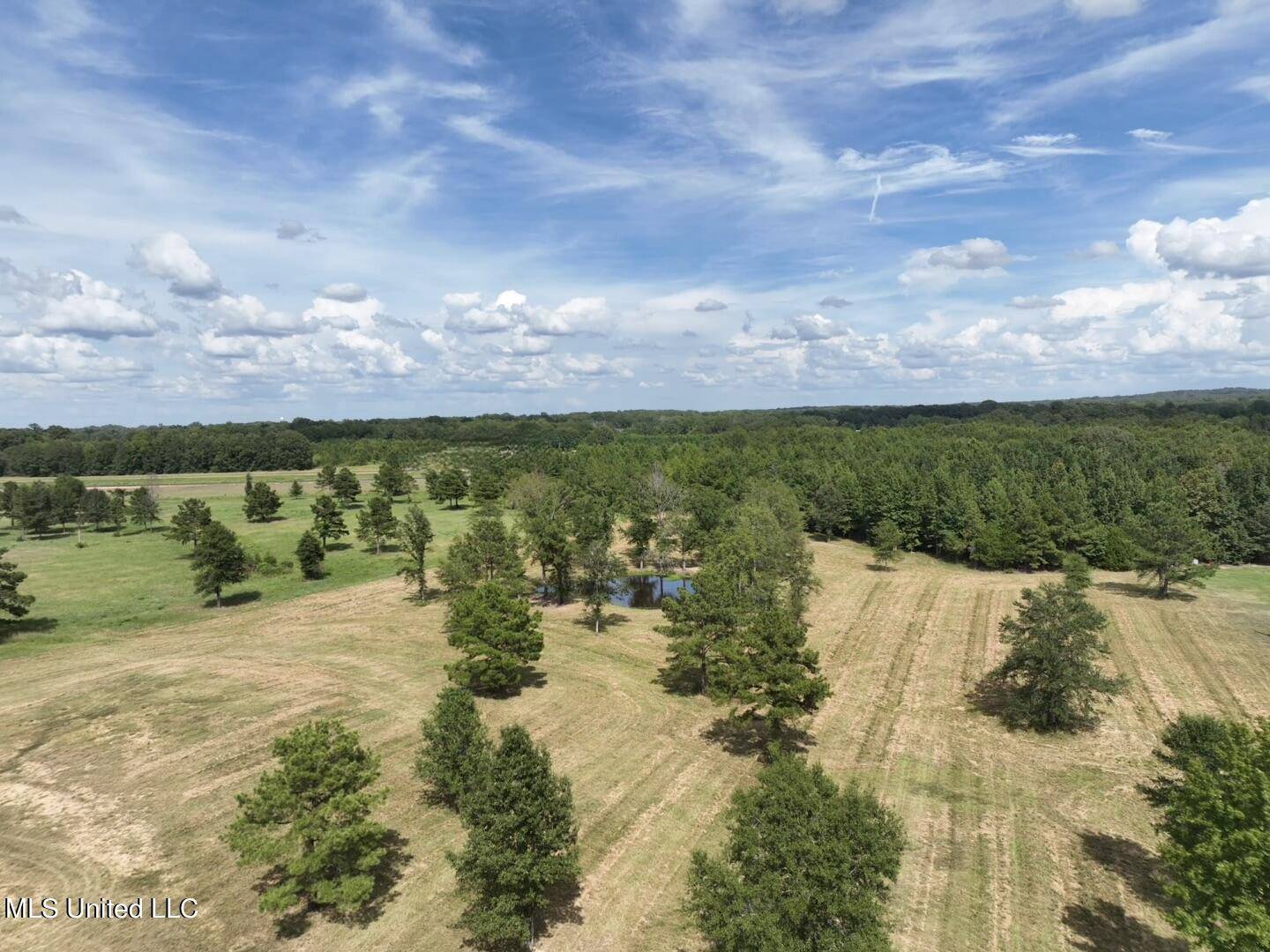 Flora, MS 39071,651 Petrified Forest Road