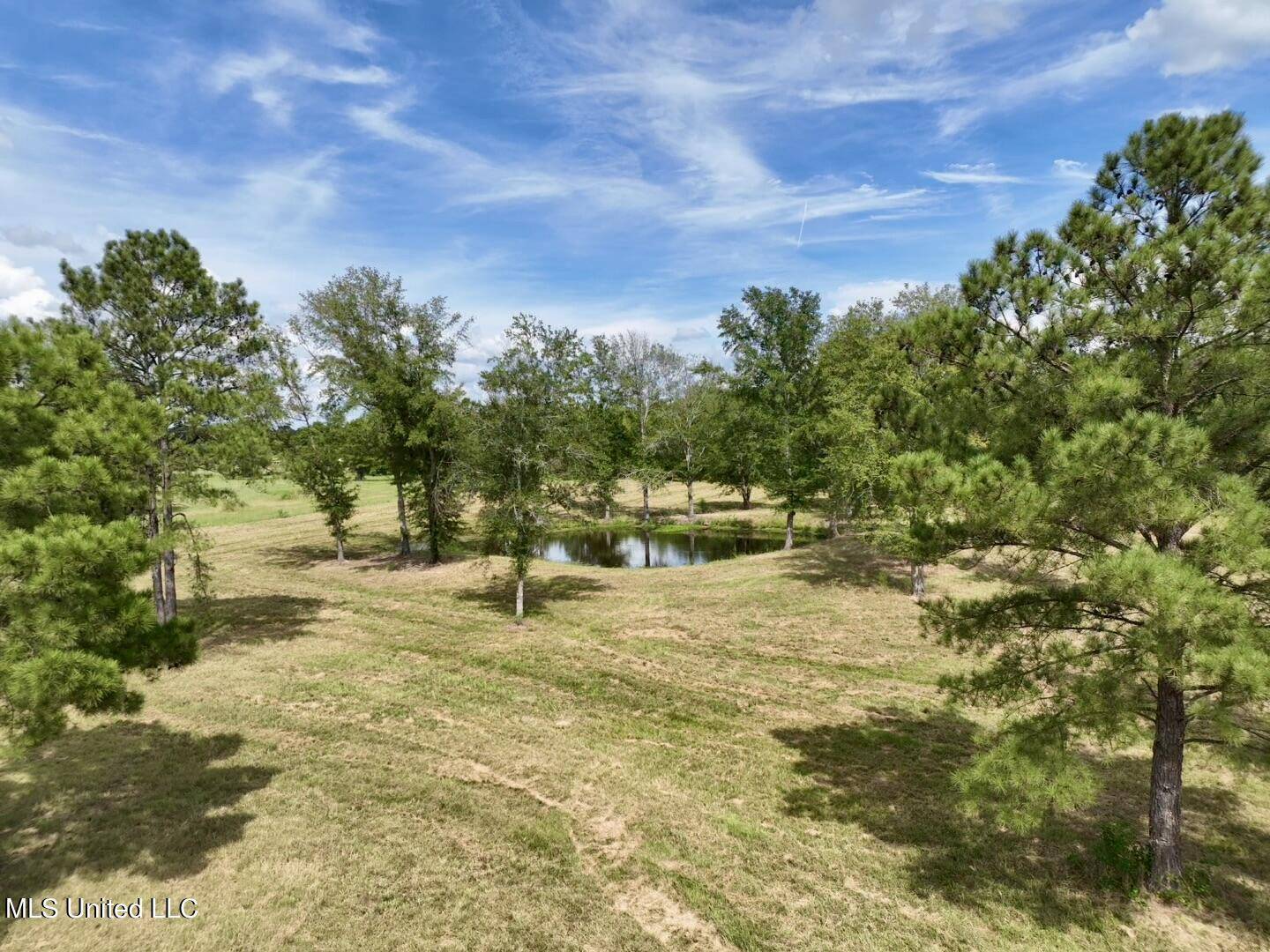 Flora, MS 39071,651 Petrified Forest Road