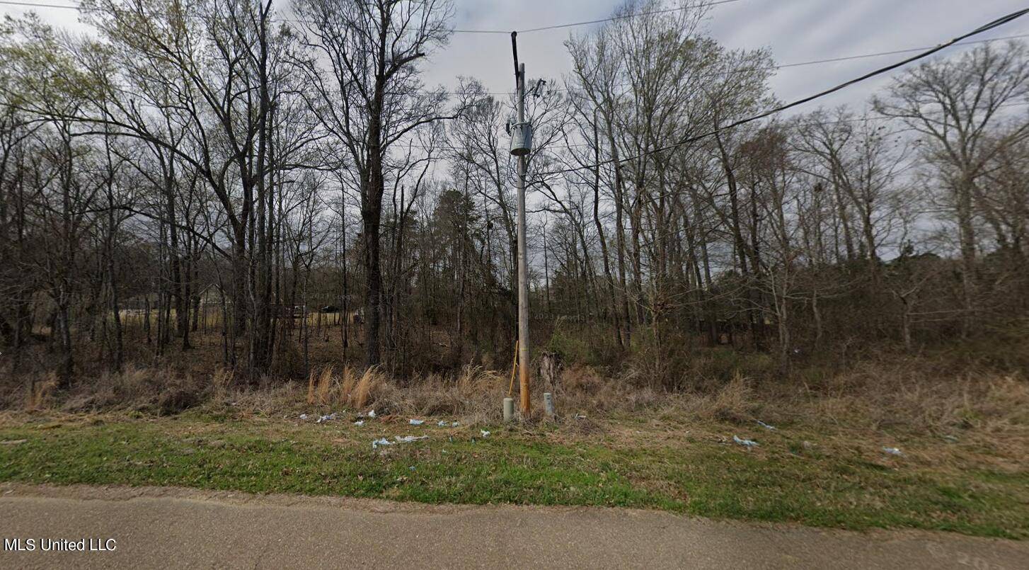 Byram, MS 39272,Gaddy Drive