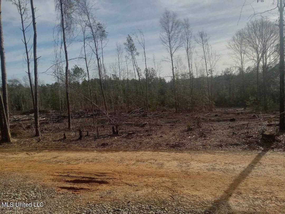 Lucedale, MS 39452,139 Old Highway 26