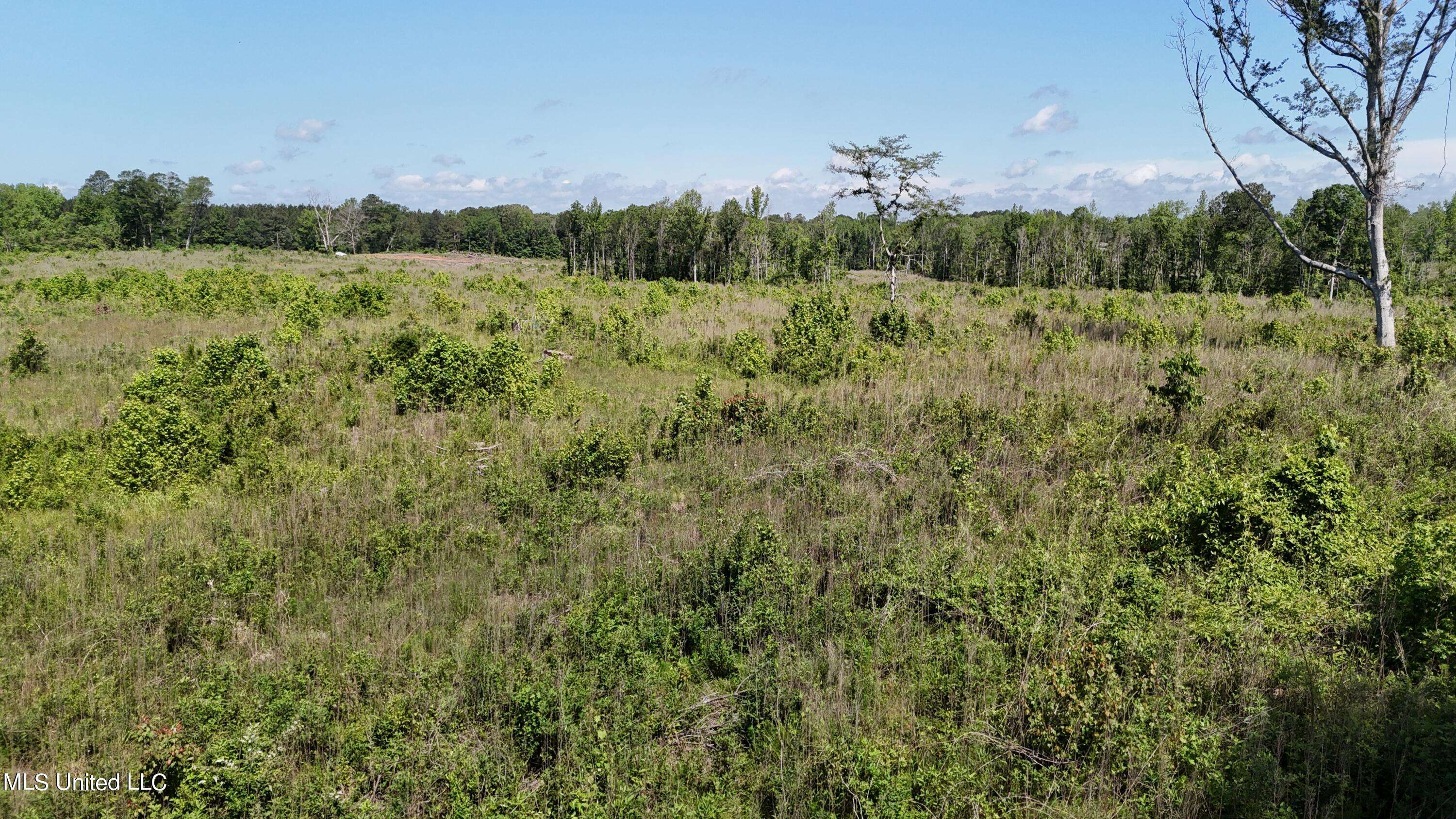 Forest, MS 39074,Harrison Road