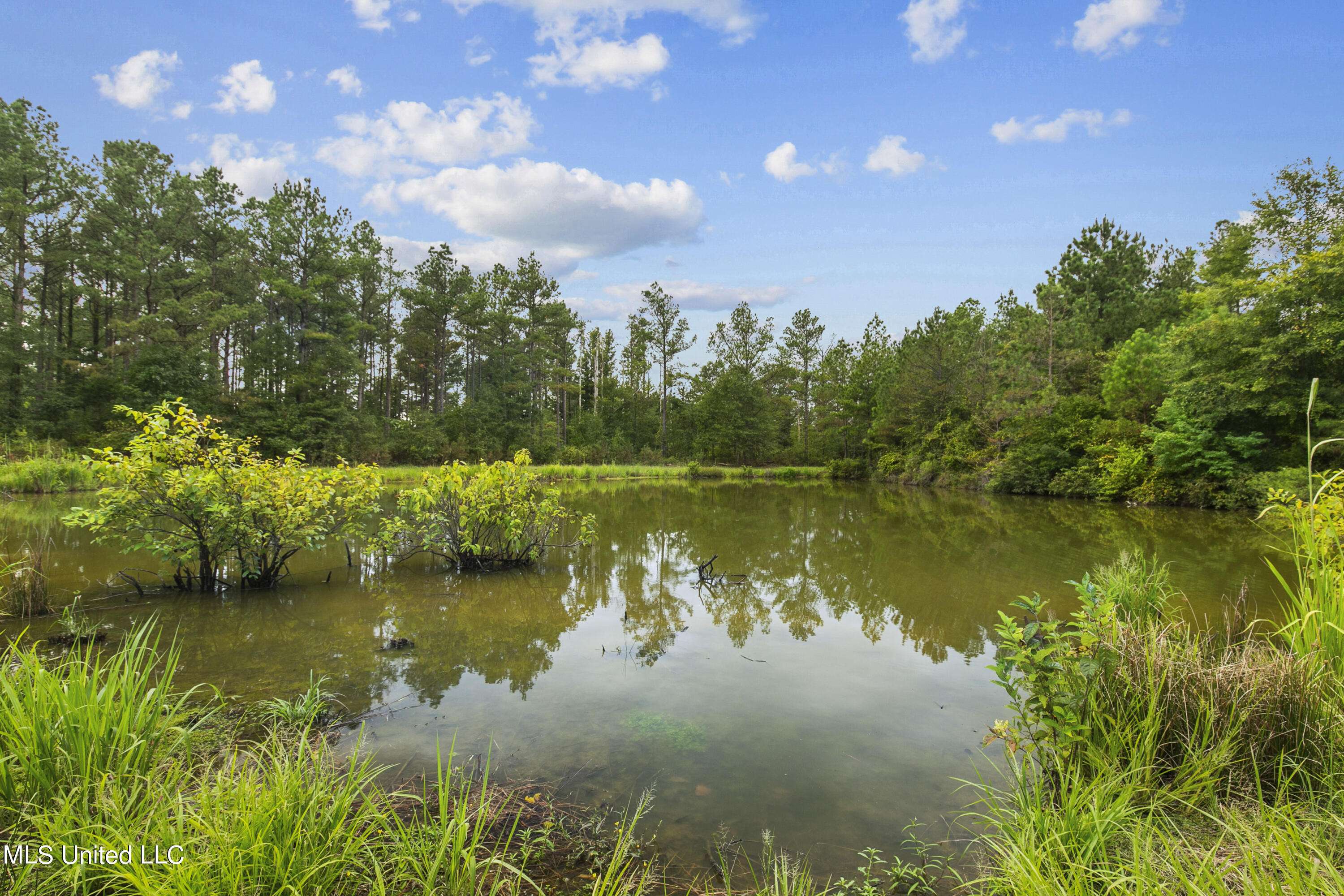 Canton, MS 39046,149 Lone Pine Road