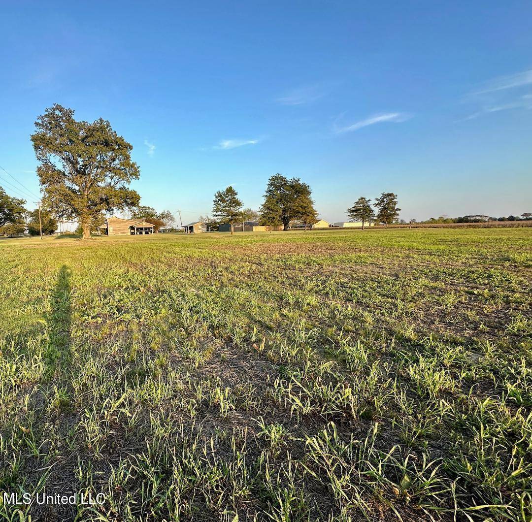 Merigold, MS 38759,Township Road