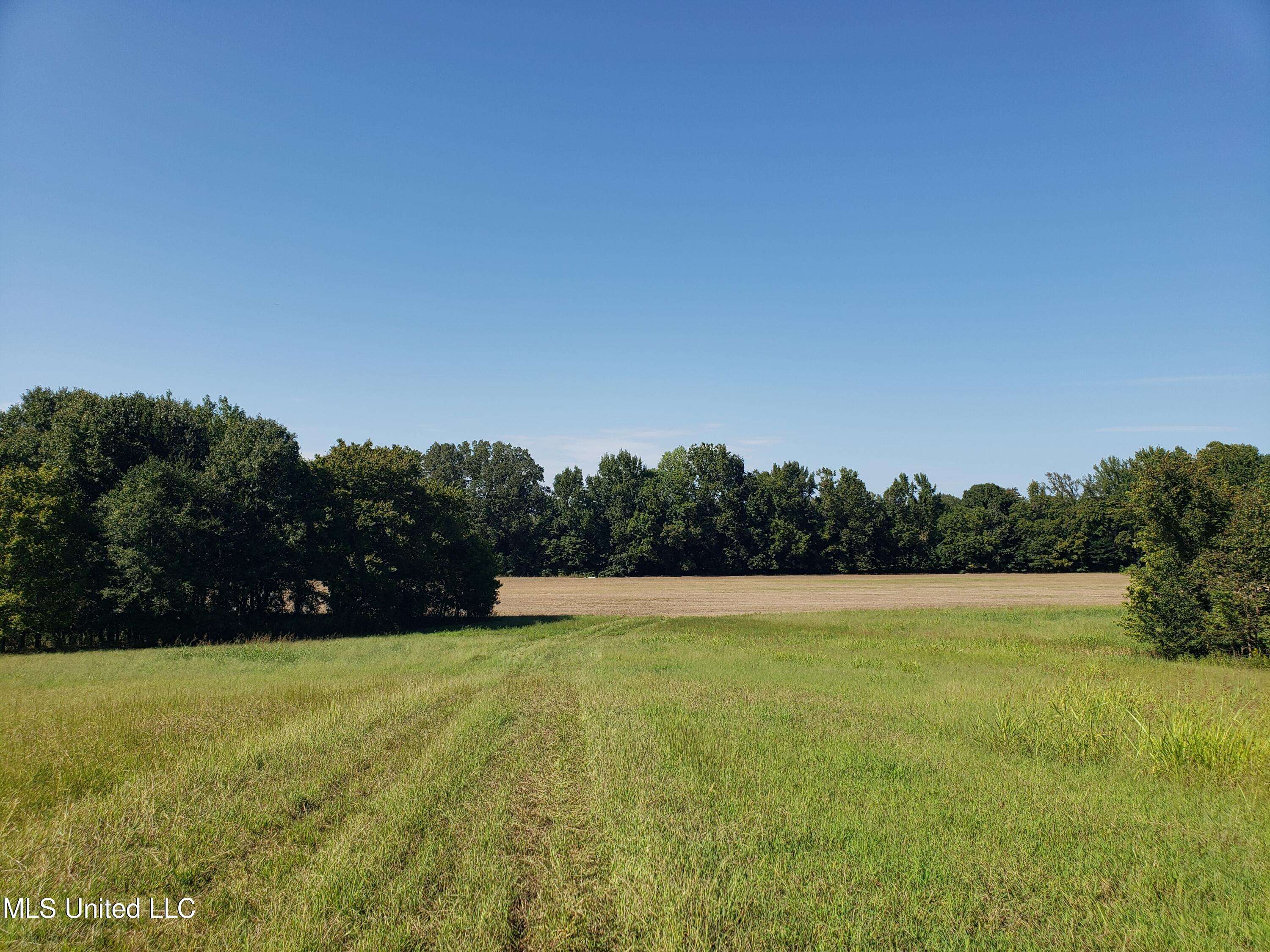 Hernando, MS 38632,Byhalia Road