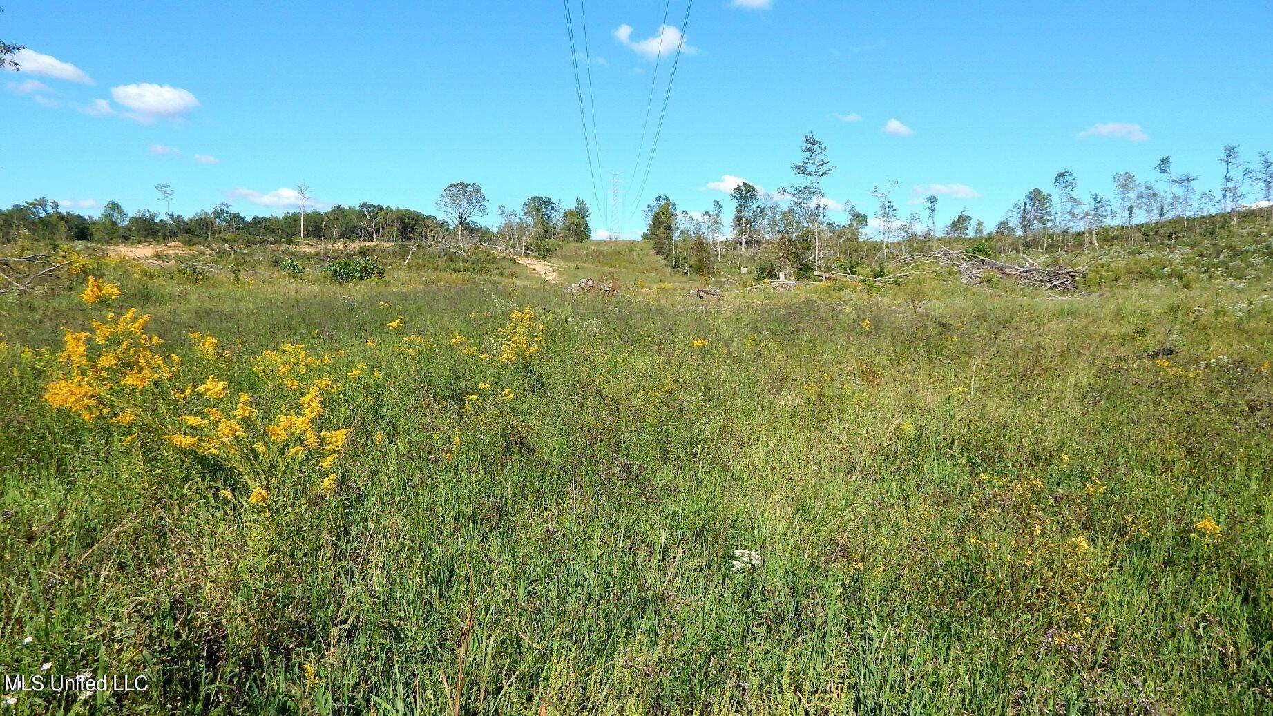 Coffeeville, MS 38922,22302 7