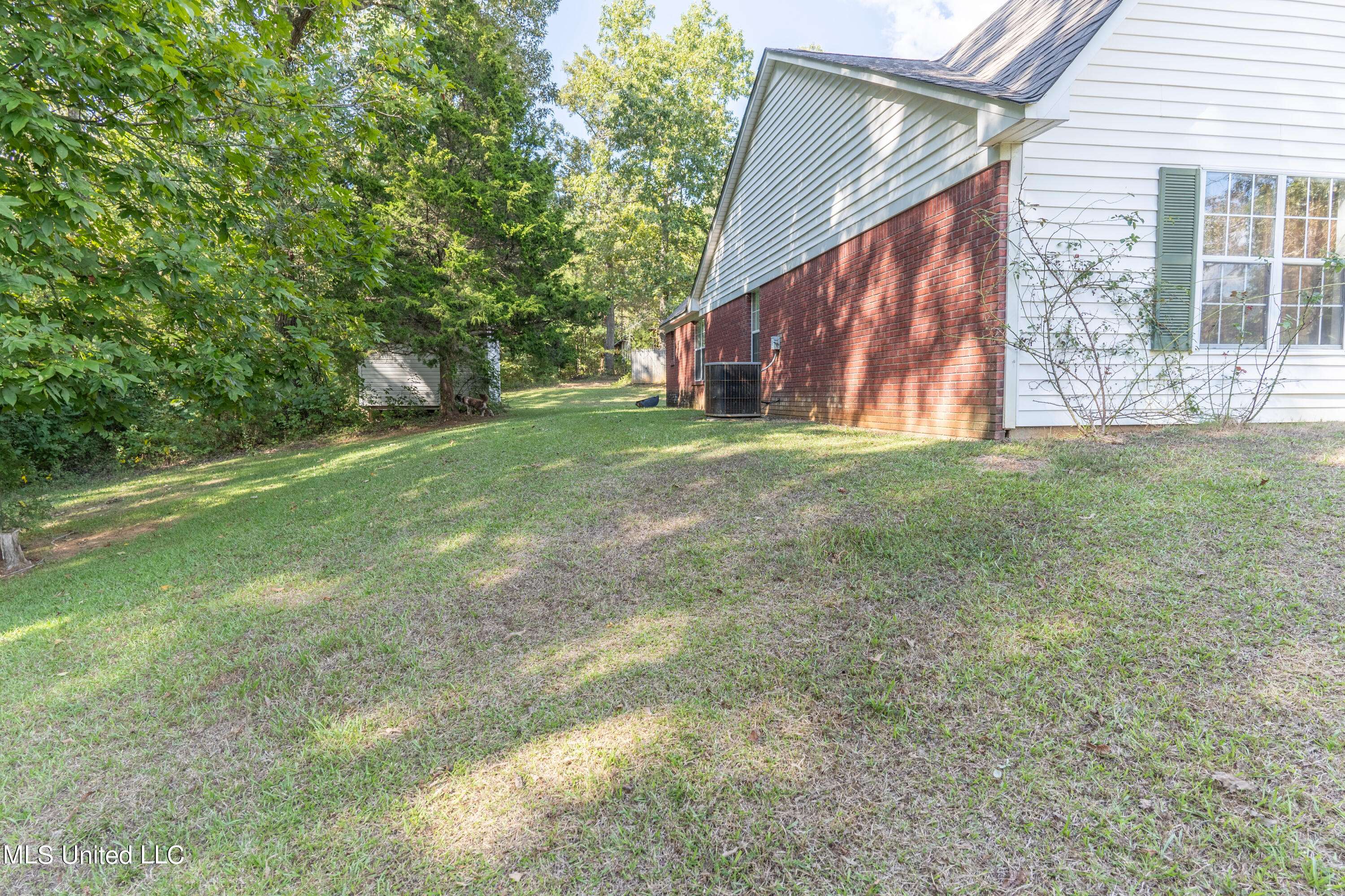 New Albany, MS 38652,1020 County Road 323