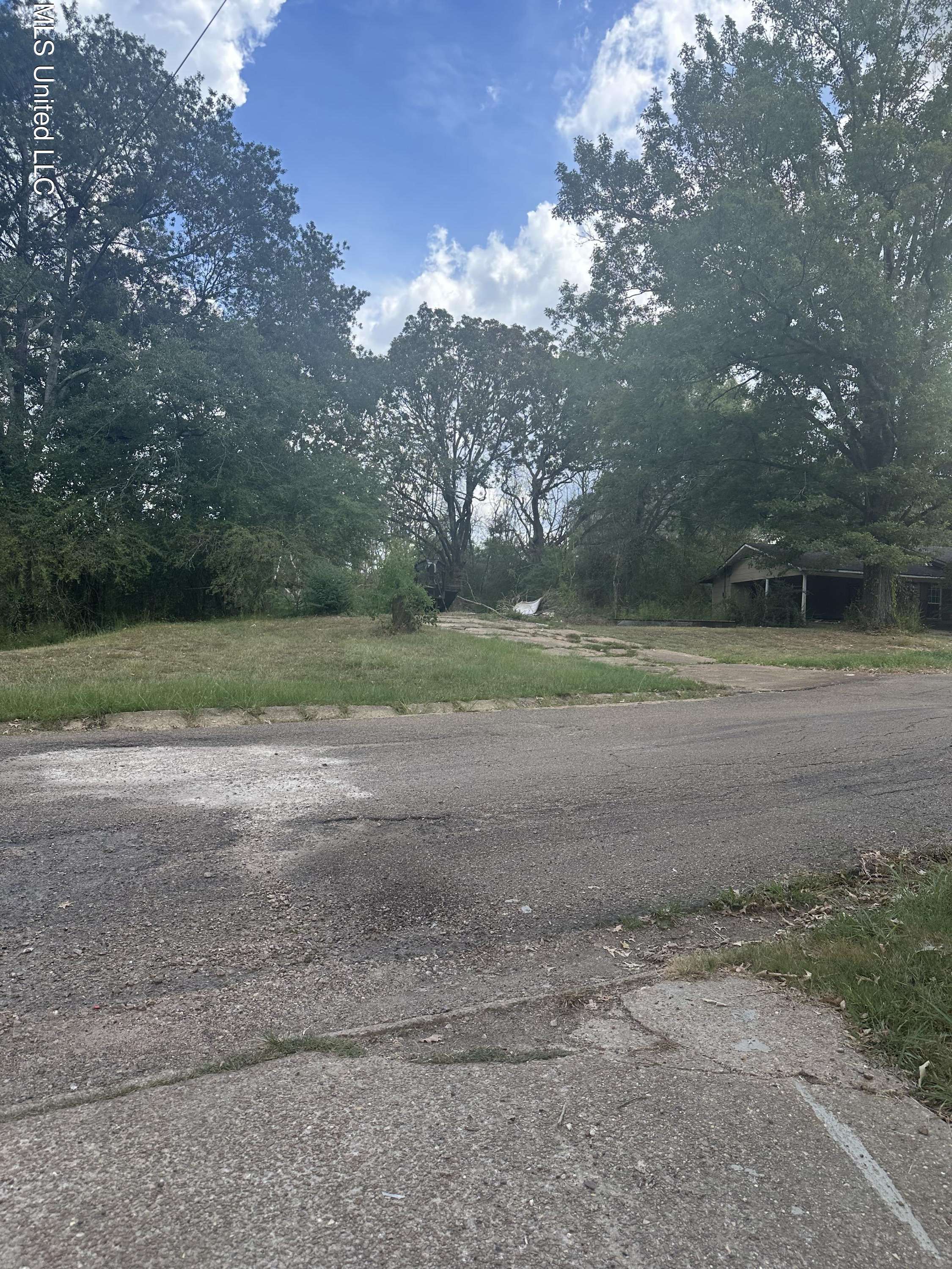Jackson, MS 39212,941 Palm Street