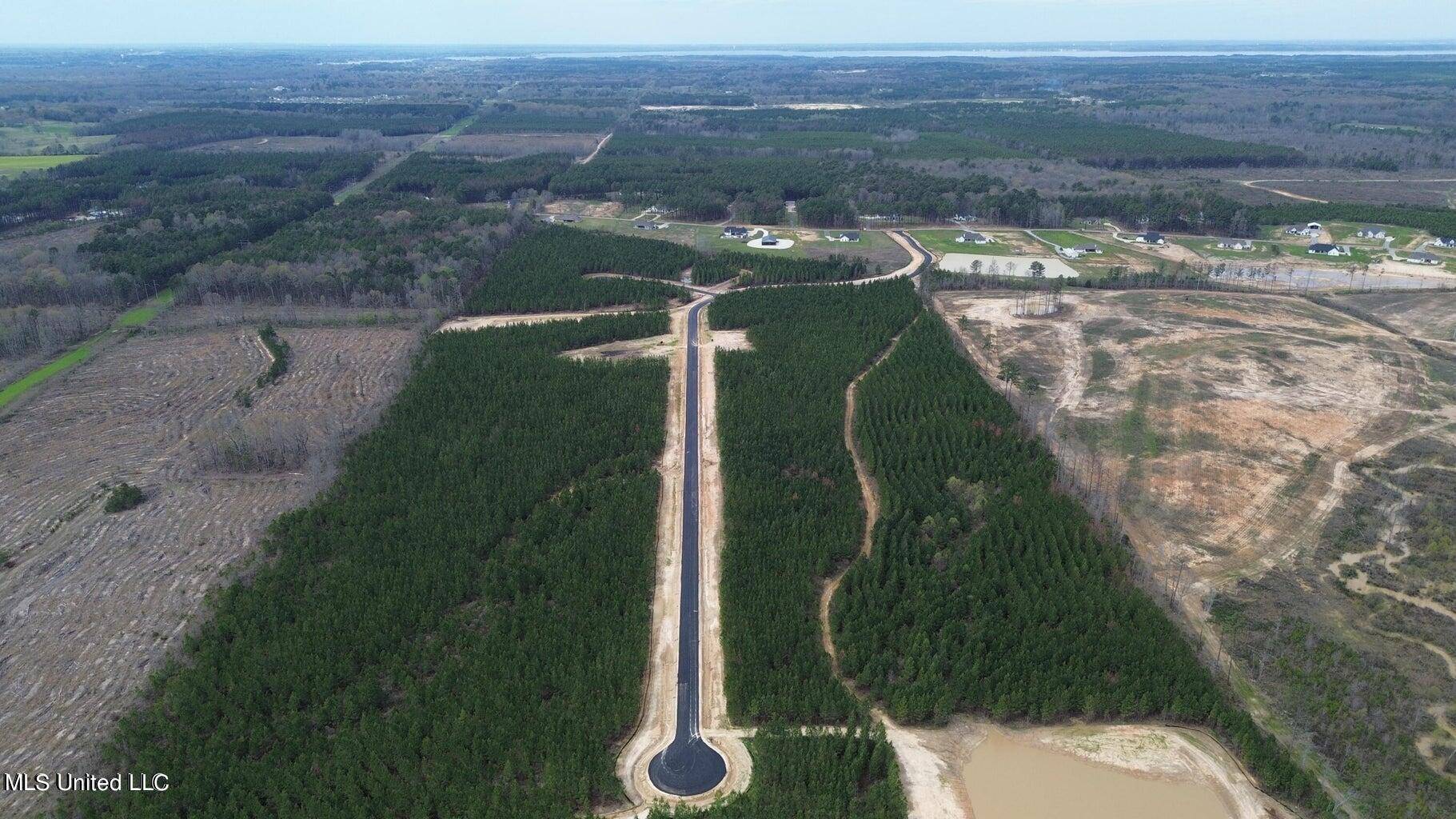 Brandon, MS 39047,737 Freedom Ridge Lane