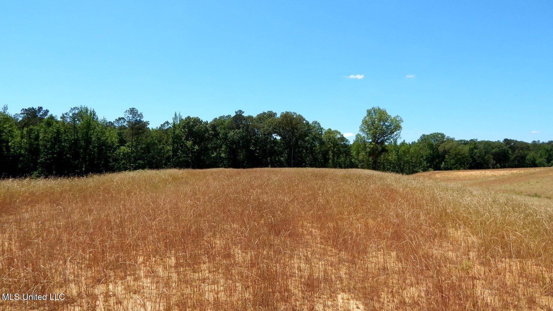 Grenada, MS 38901,206 Hugh White State Park Road