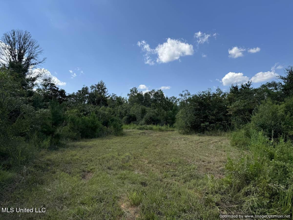 Brookhaven, MS 39601,816 Denton Trail