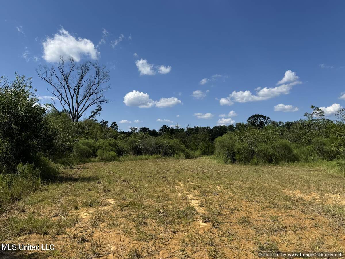 Brookhaven, MS 39601,816 Denton Trail