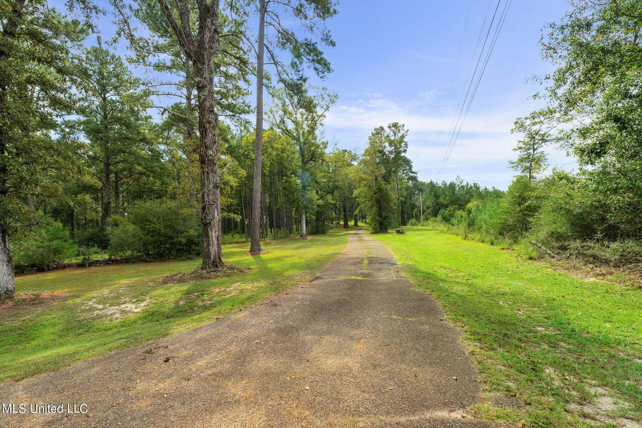 Sumrall, MS 39482,209 N Slade Road