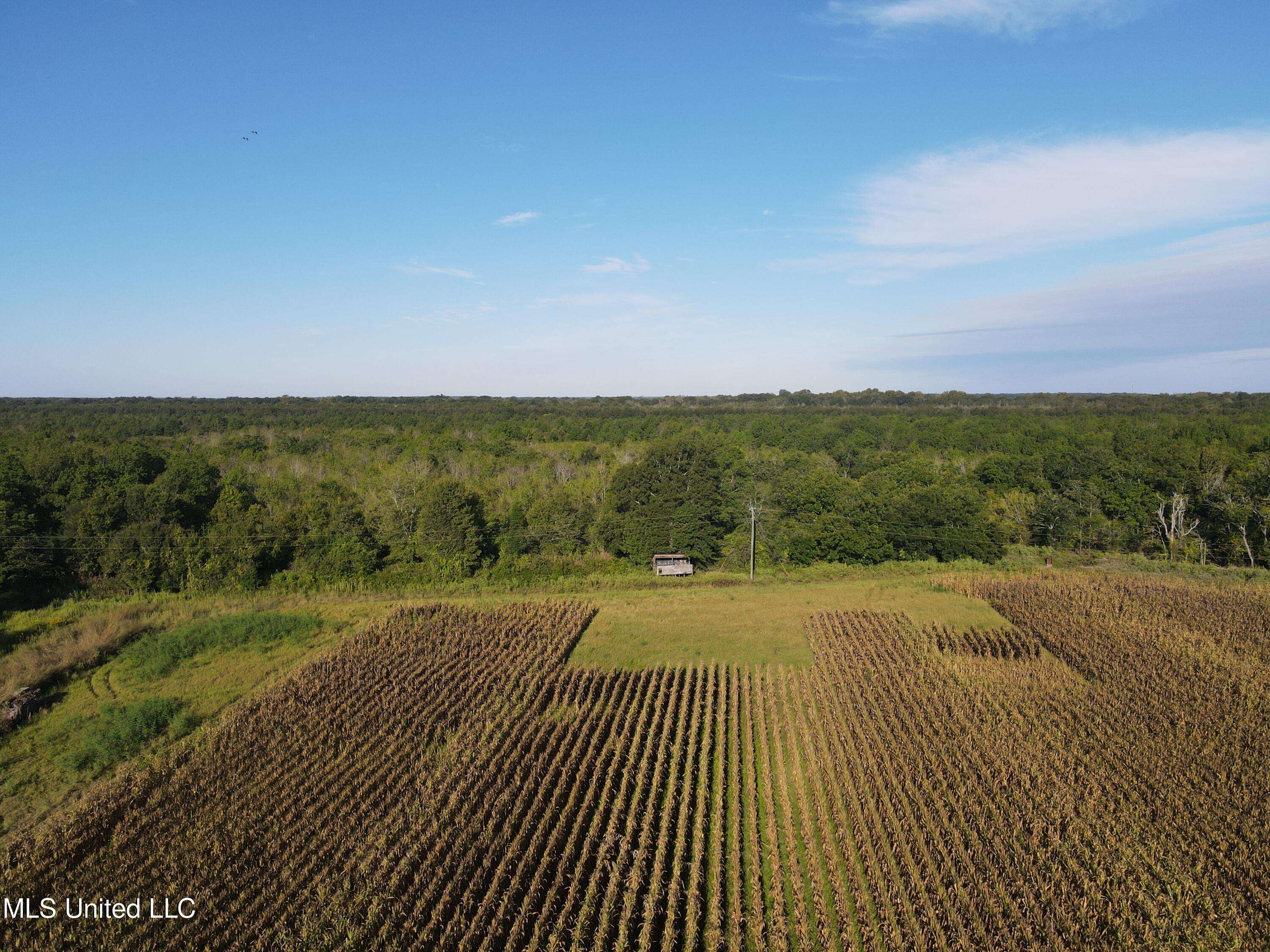 Yazoo City, MS 39194,Ms 149