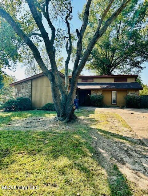 Walls, MS 38680,7051 Thornwood Cove