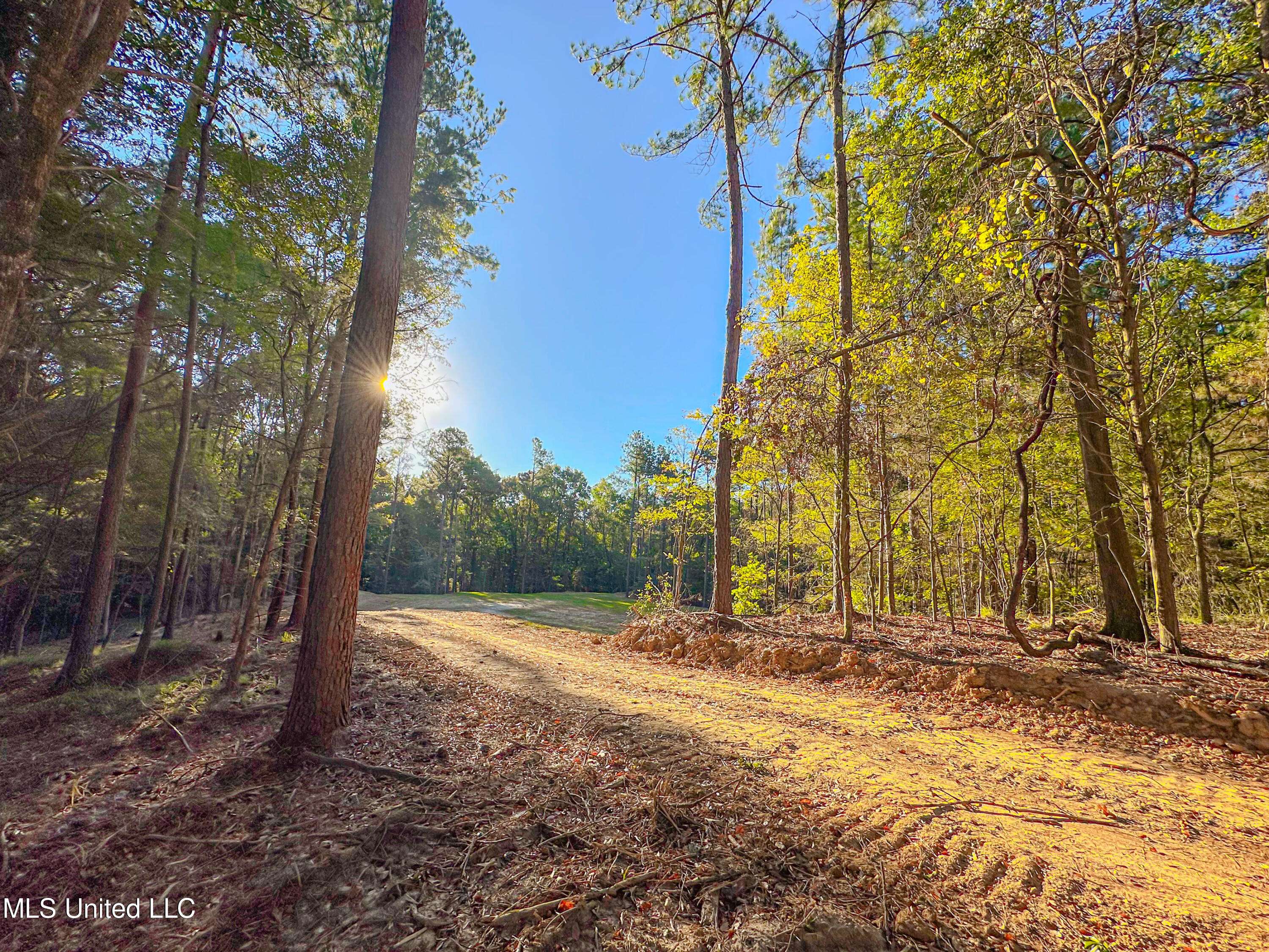 Flora, MS 39071,Mount Leopard Road