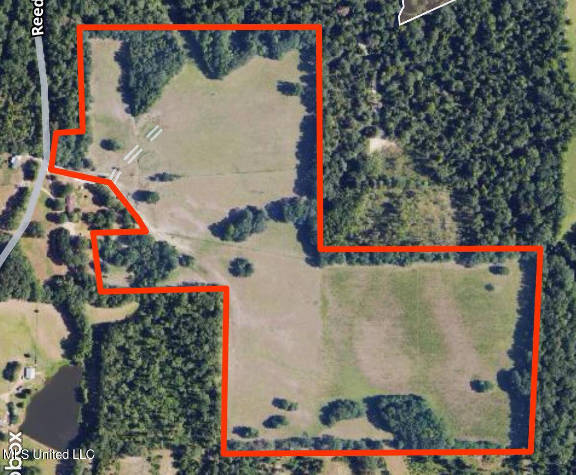 Utica, MS 39175,Reedtown Rd
