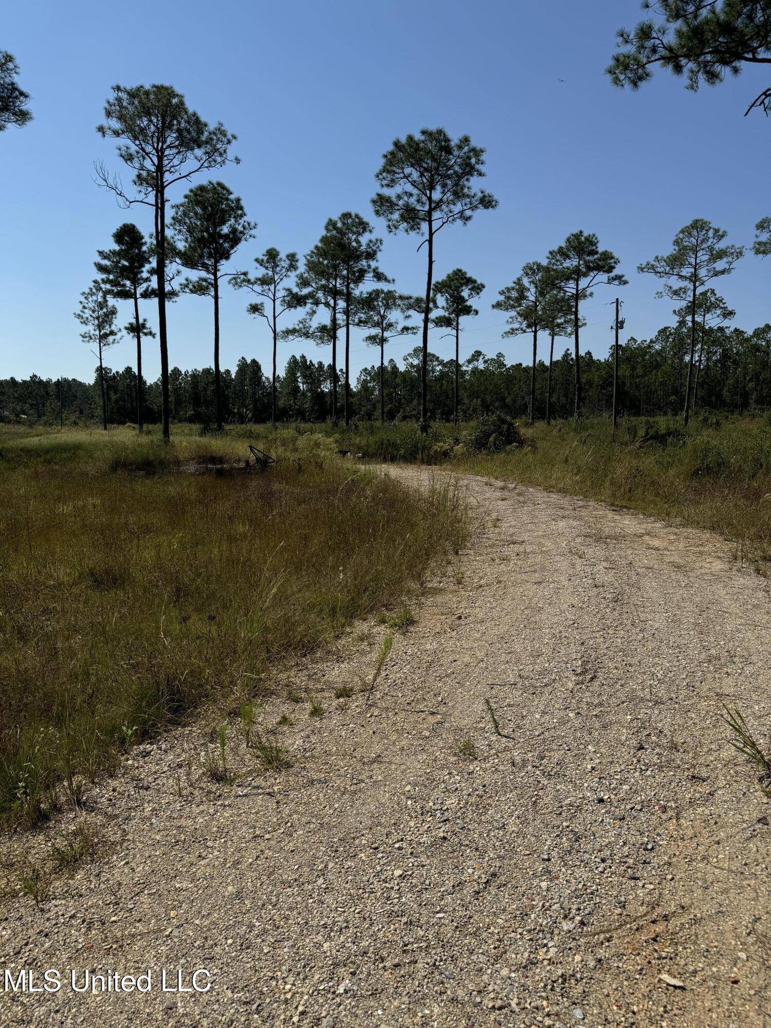 Vancleave, MS 39565,0 Dantzler Road