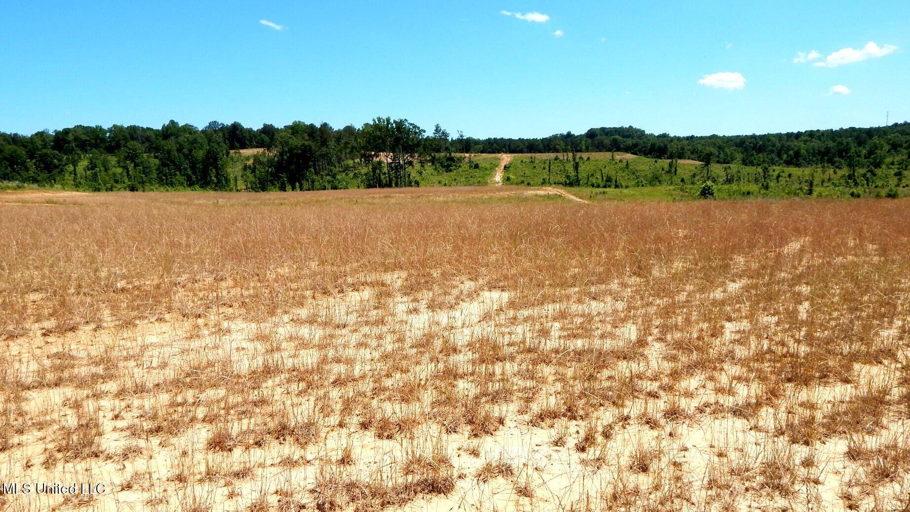 Grenada, MS 38901,210 Hugh White State Park Road