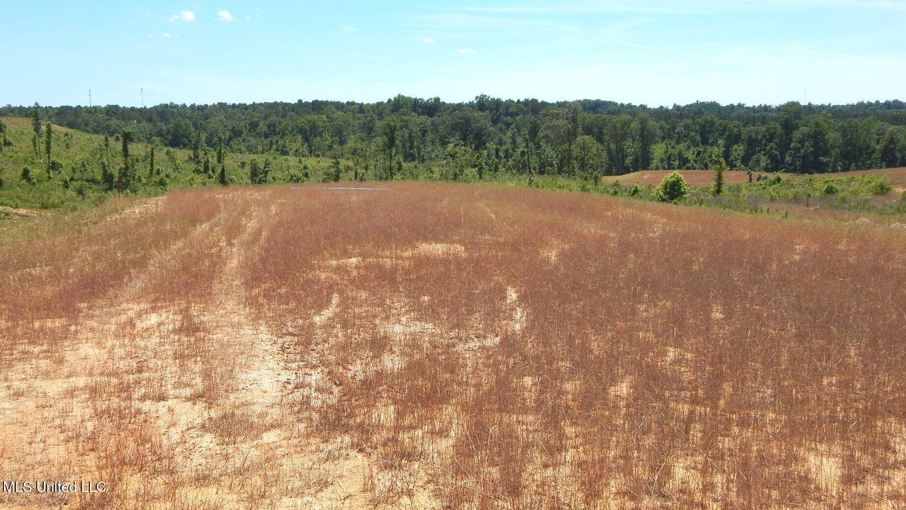 Grenada, MS 38901,211 Hugh White State Park Road