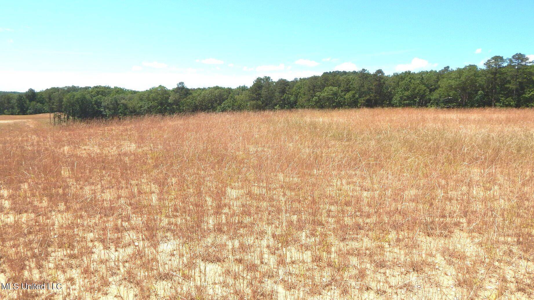 Grenada, MS 38901,612 Hugh White State Park Road