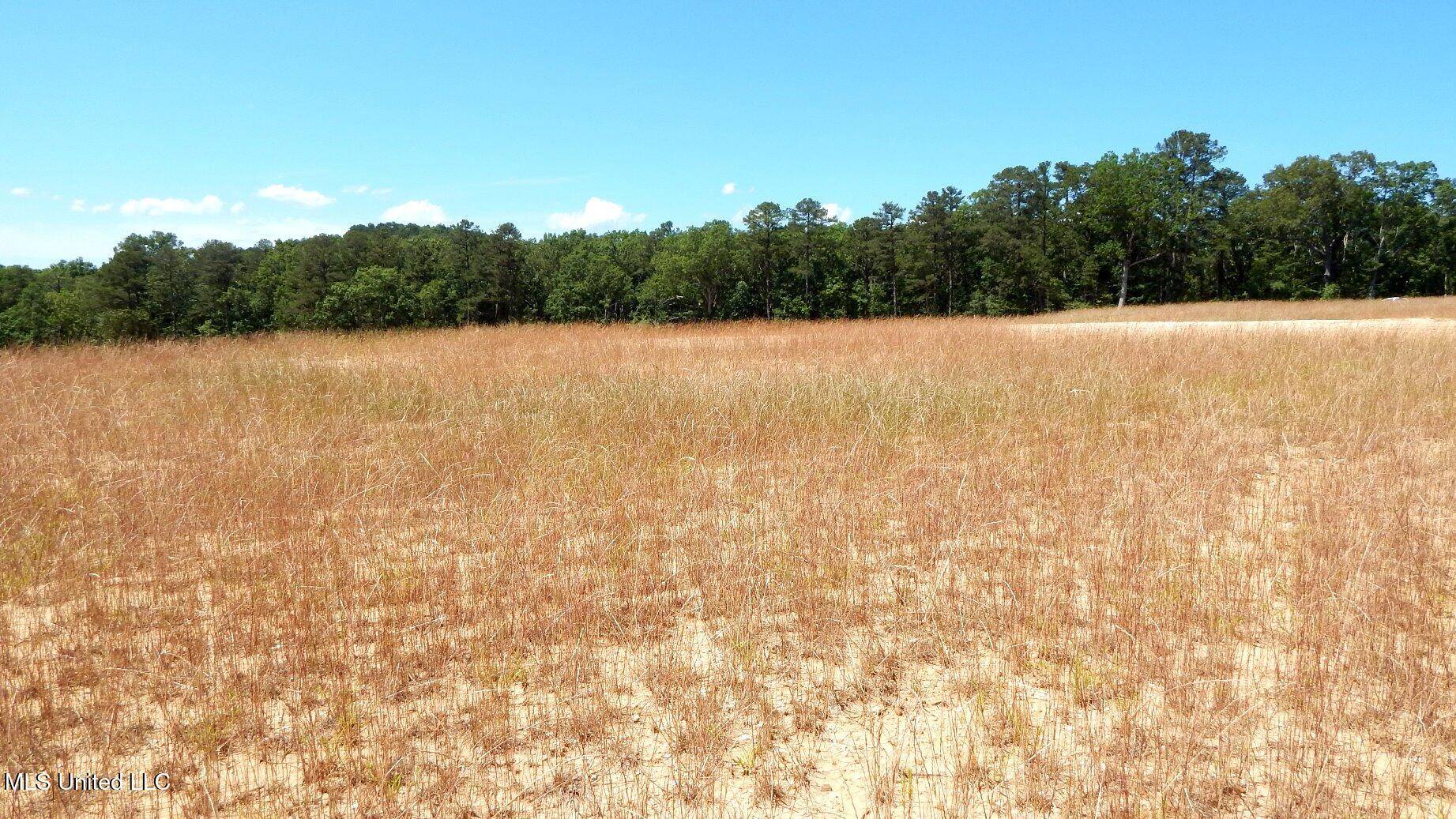 Grenada, MS 38901,612 Hugh White State Park Road