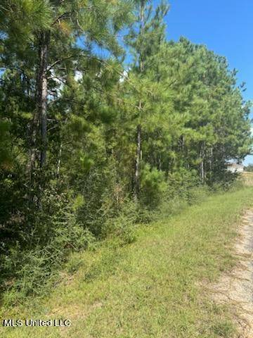 Perkinston, MS 39573,Clear Lake - Lot 5 Road