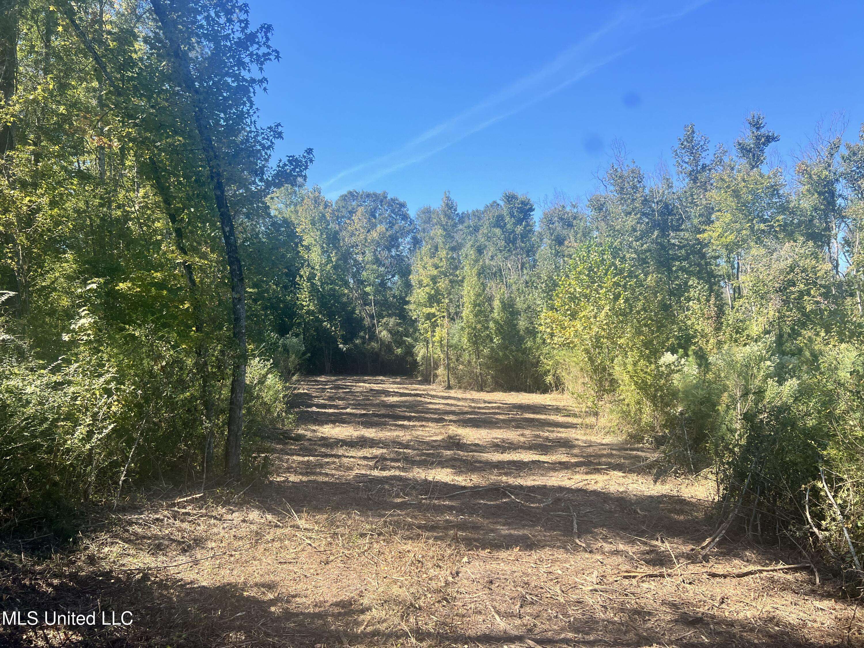 D Lo, MS 39062,409 Hickory Lane