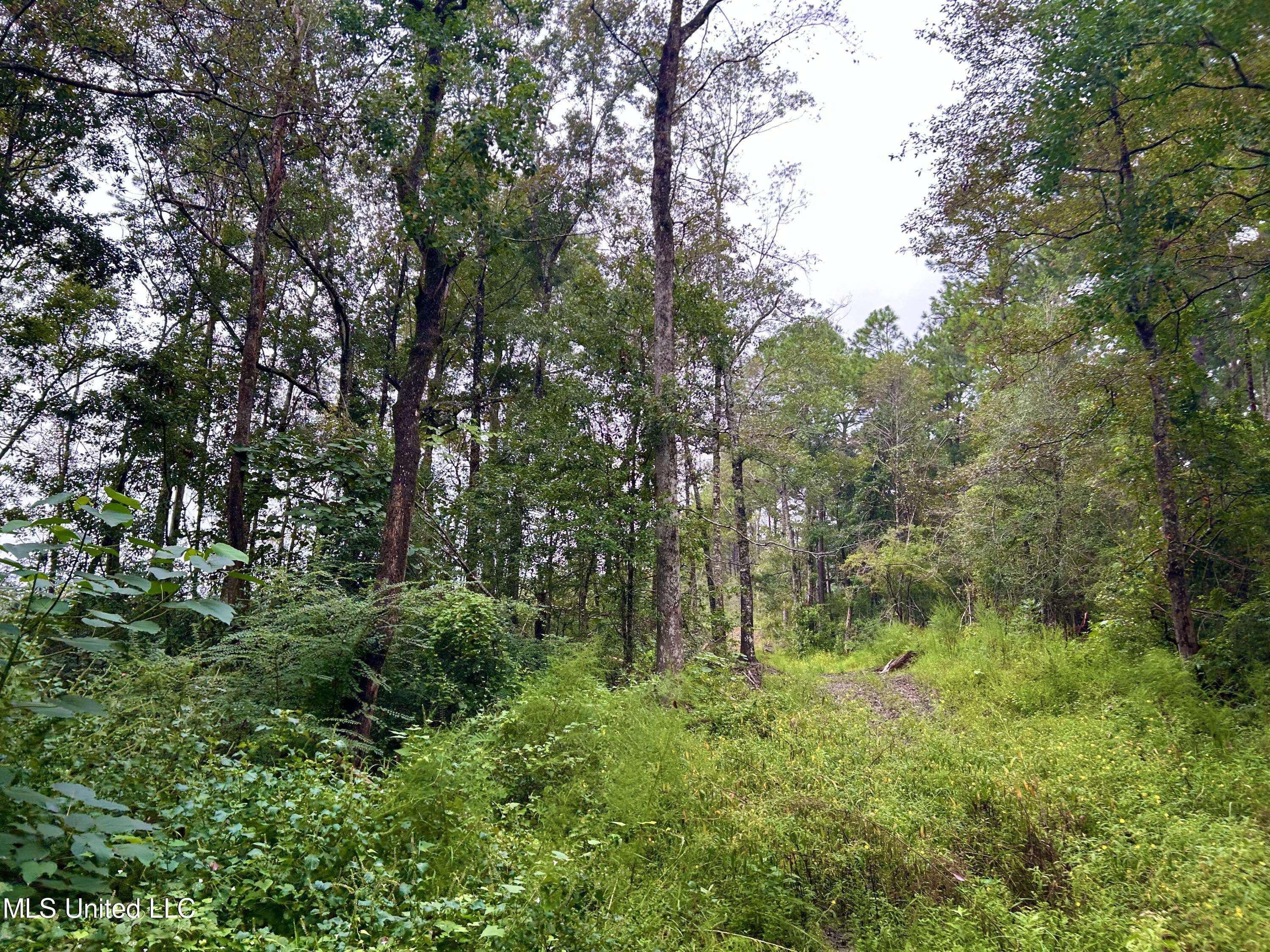 Vancleave, MS 39565,Indian Lane