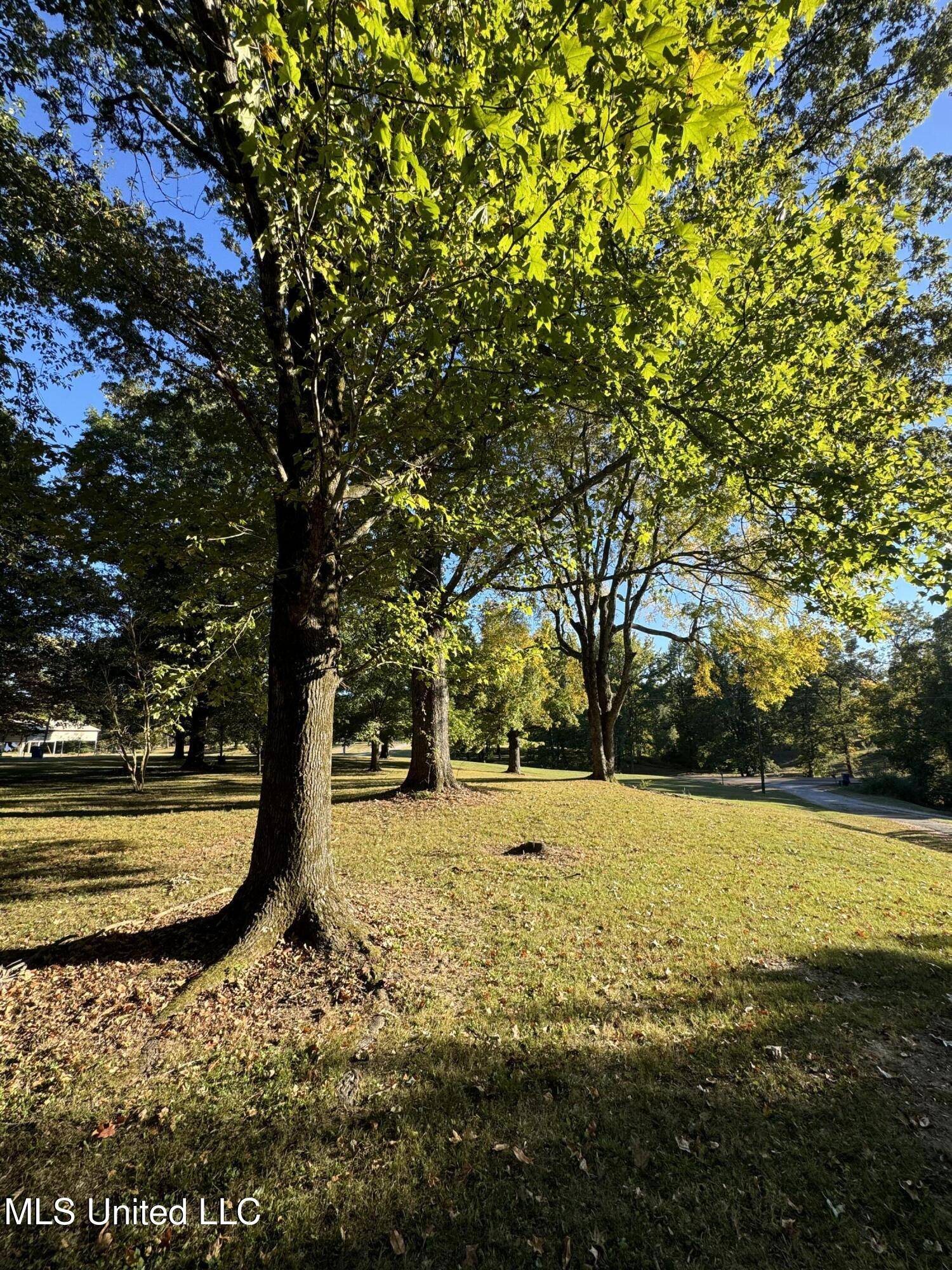 Nesbit, MS 38651,4988 Starlanding Road