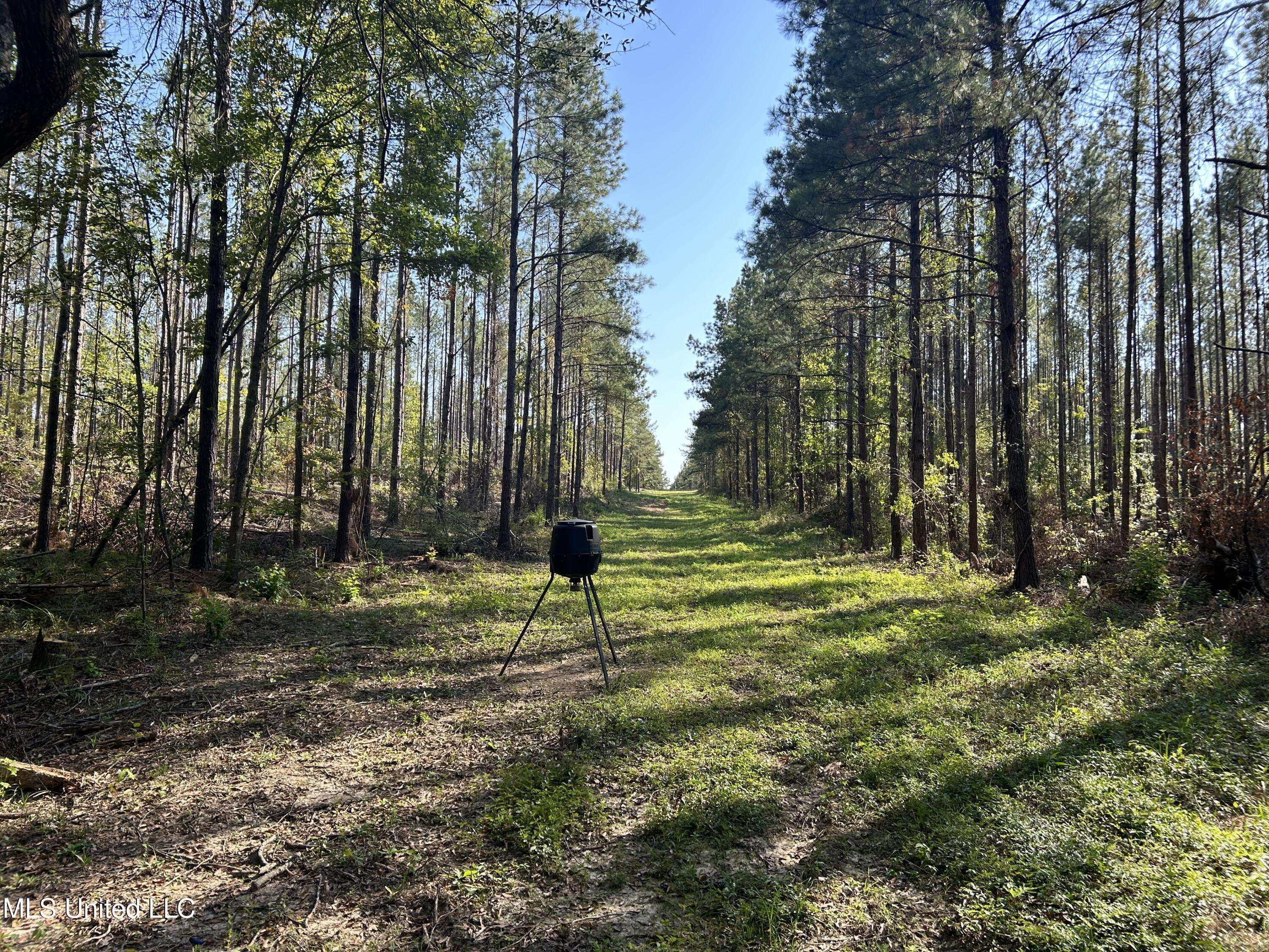 Georgetown, MS 39078,Rails Road