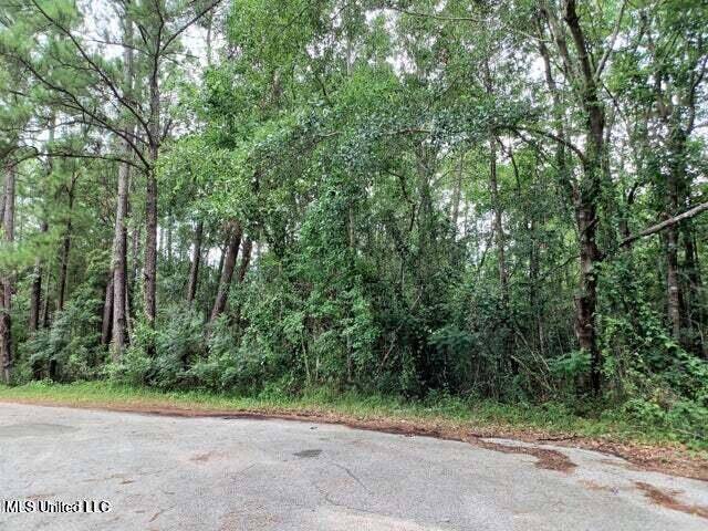 Gautier, MS 39553,17 Honduras Drive