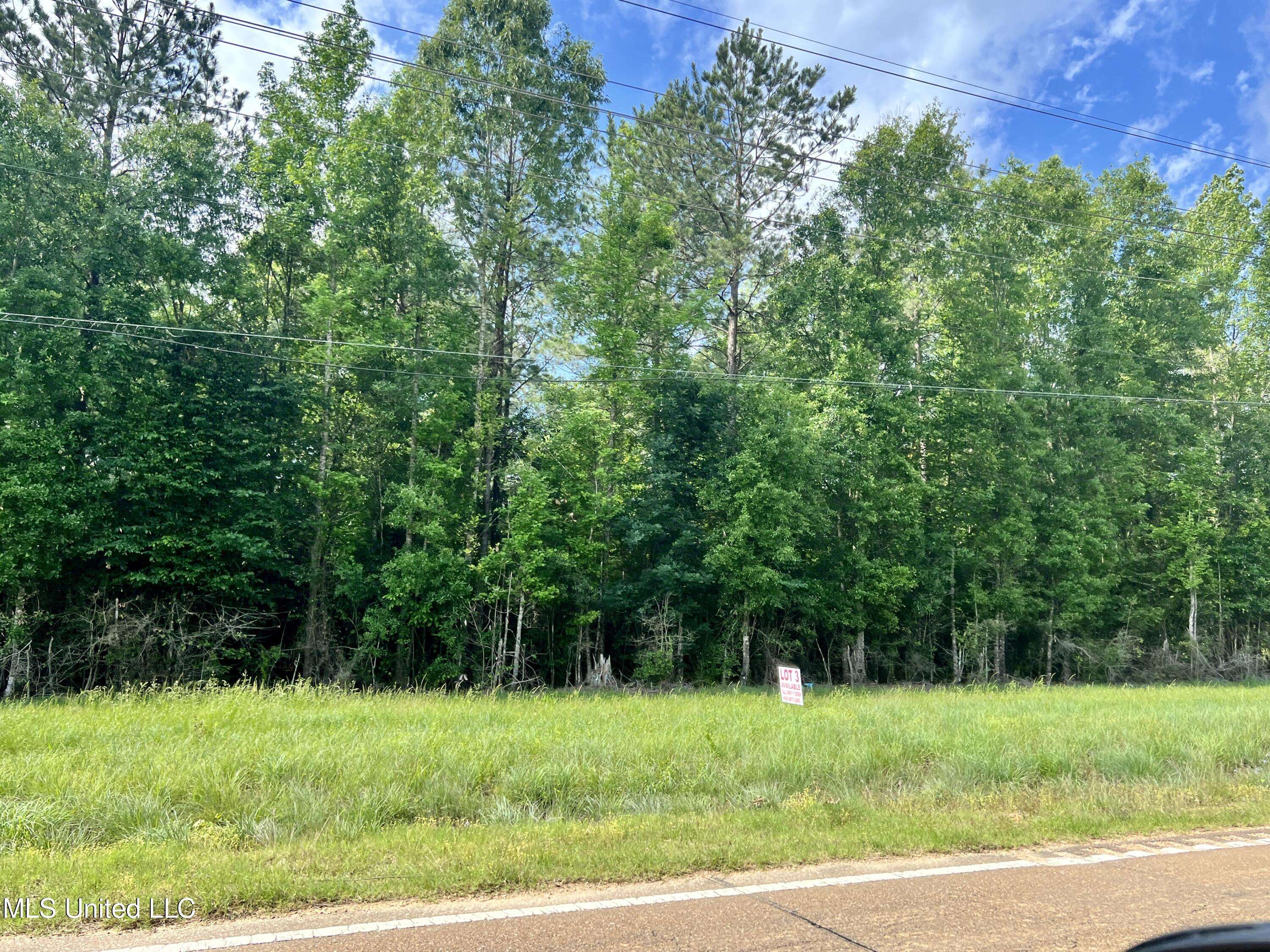 Centreville, MS 39631,Lot 1 Highway 24