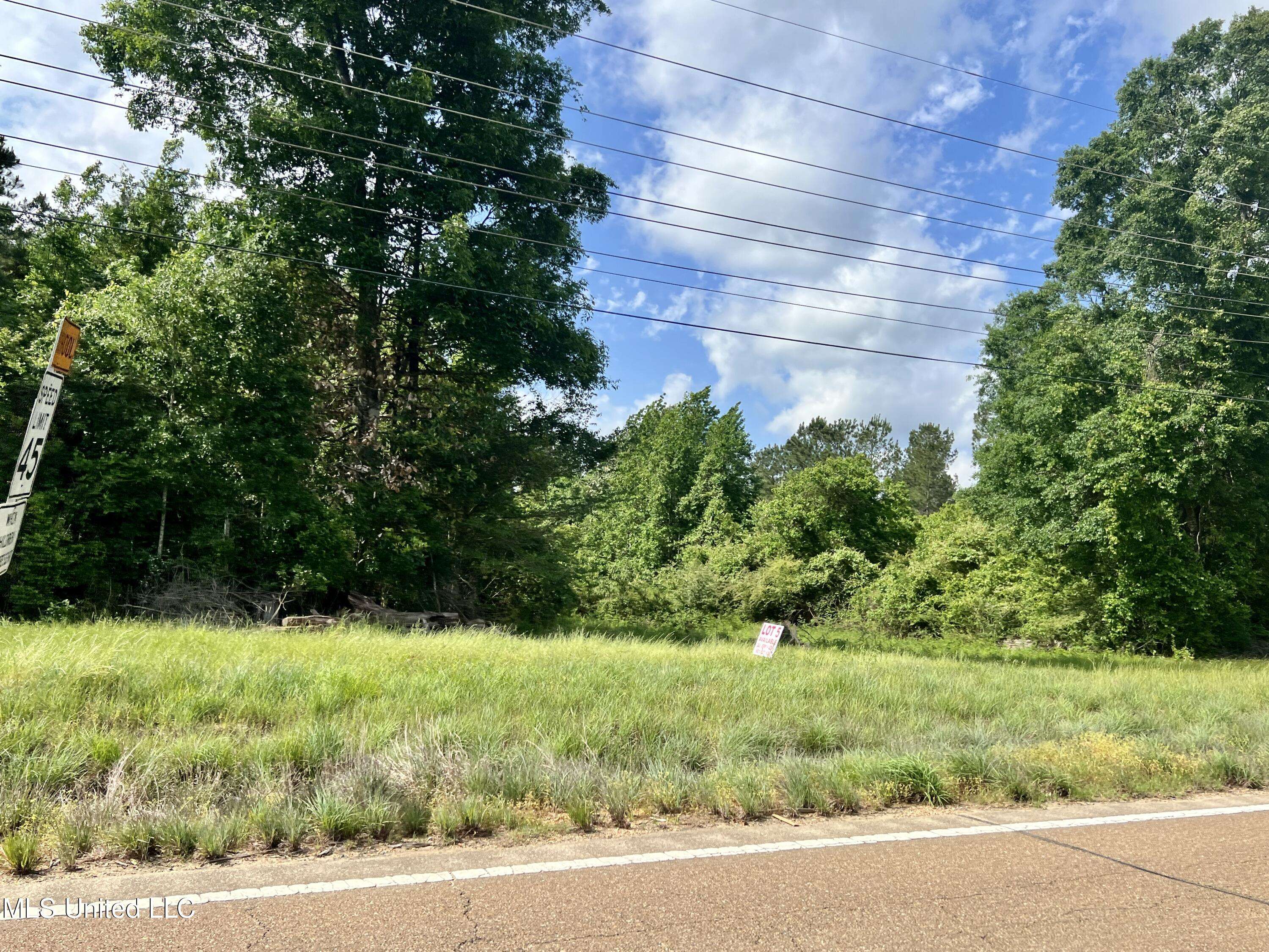 Centreville, MS 39631,Lot 3 Hwy 24