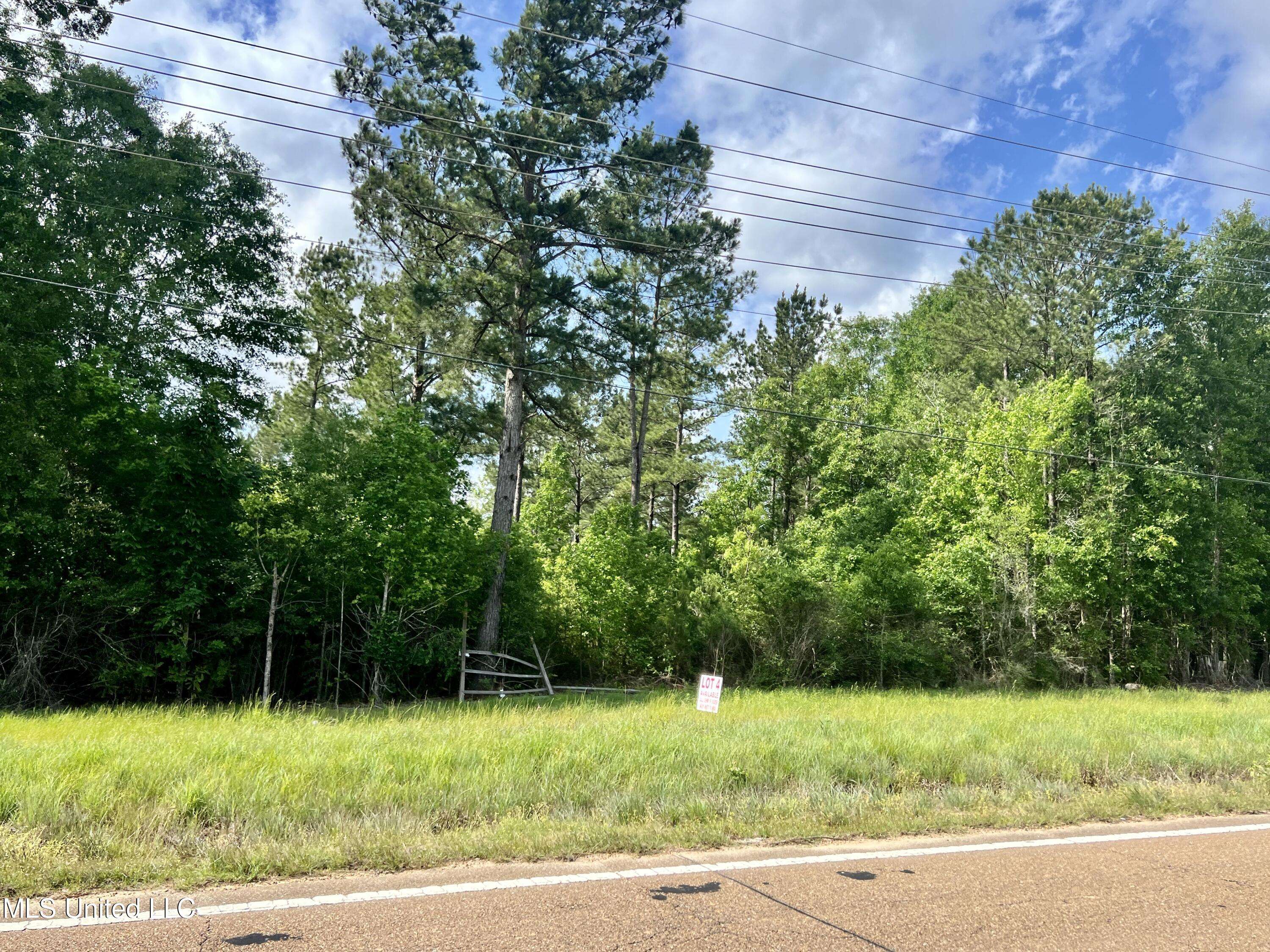 Centreville, MS 39631,Lot 4 Hwy 24