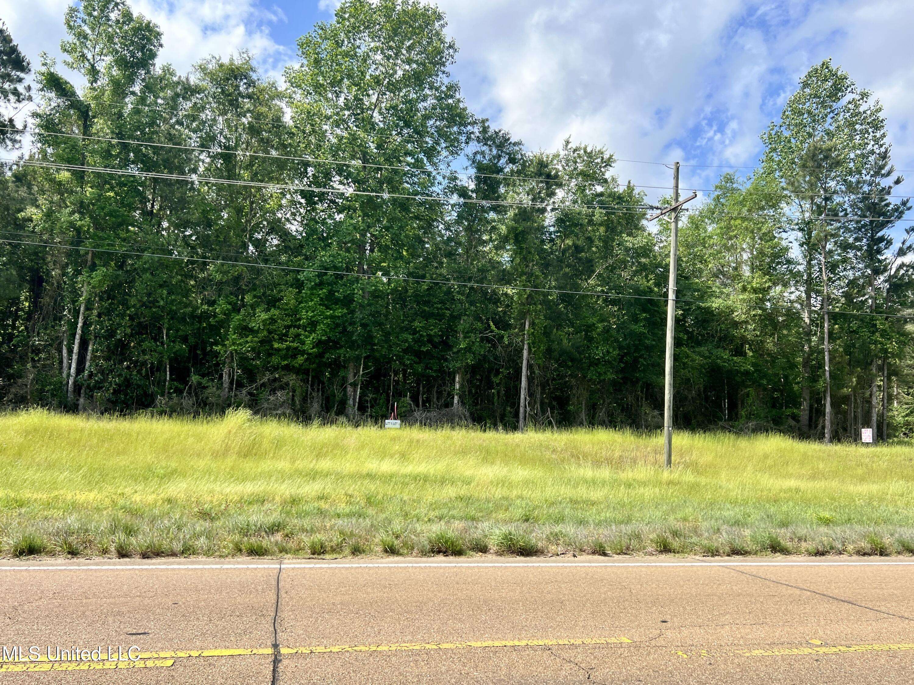 Centreville, MS 39631,Lot 6 Hwy 24