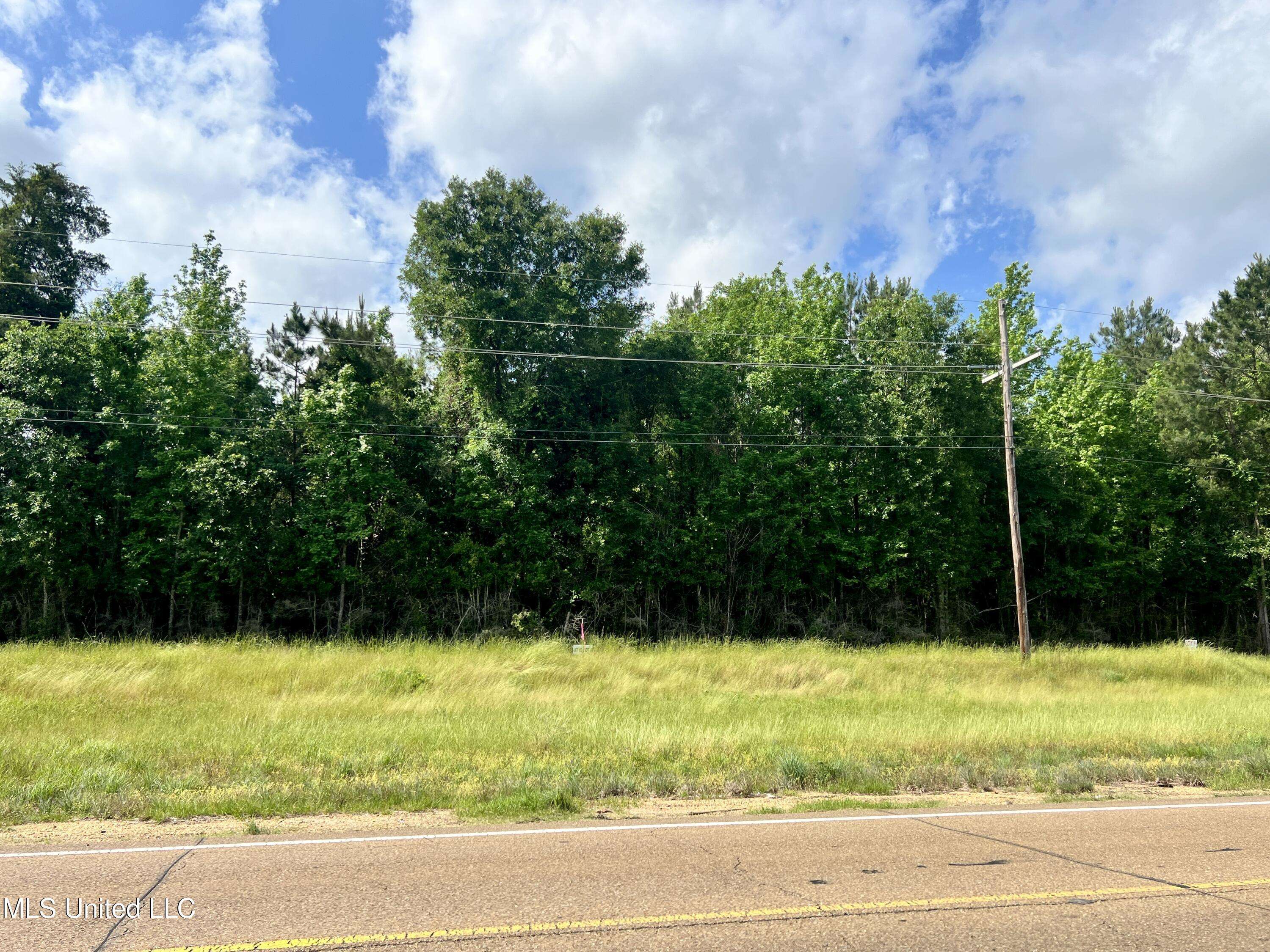 Centreville, MS 39631,Lot 10 Hwy 24