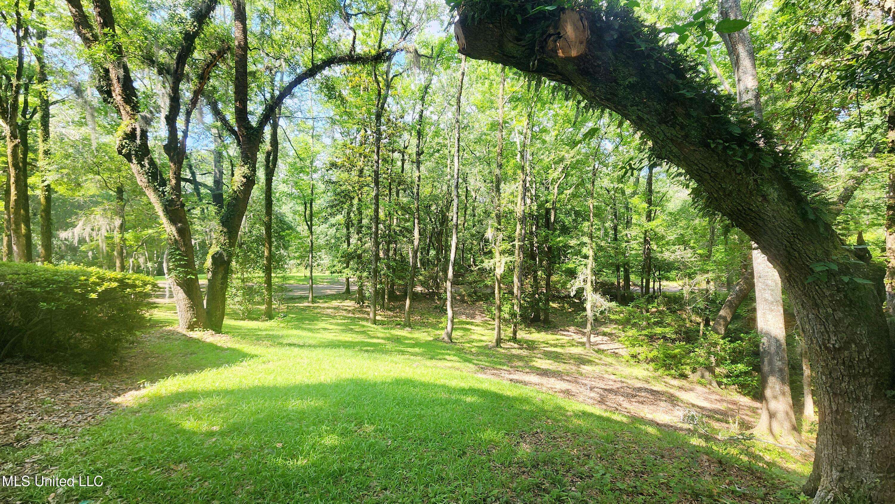 Natchez, MS 39120,11 Aberdeen Road