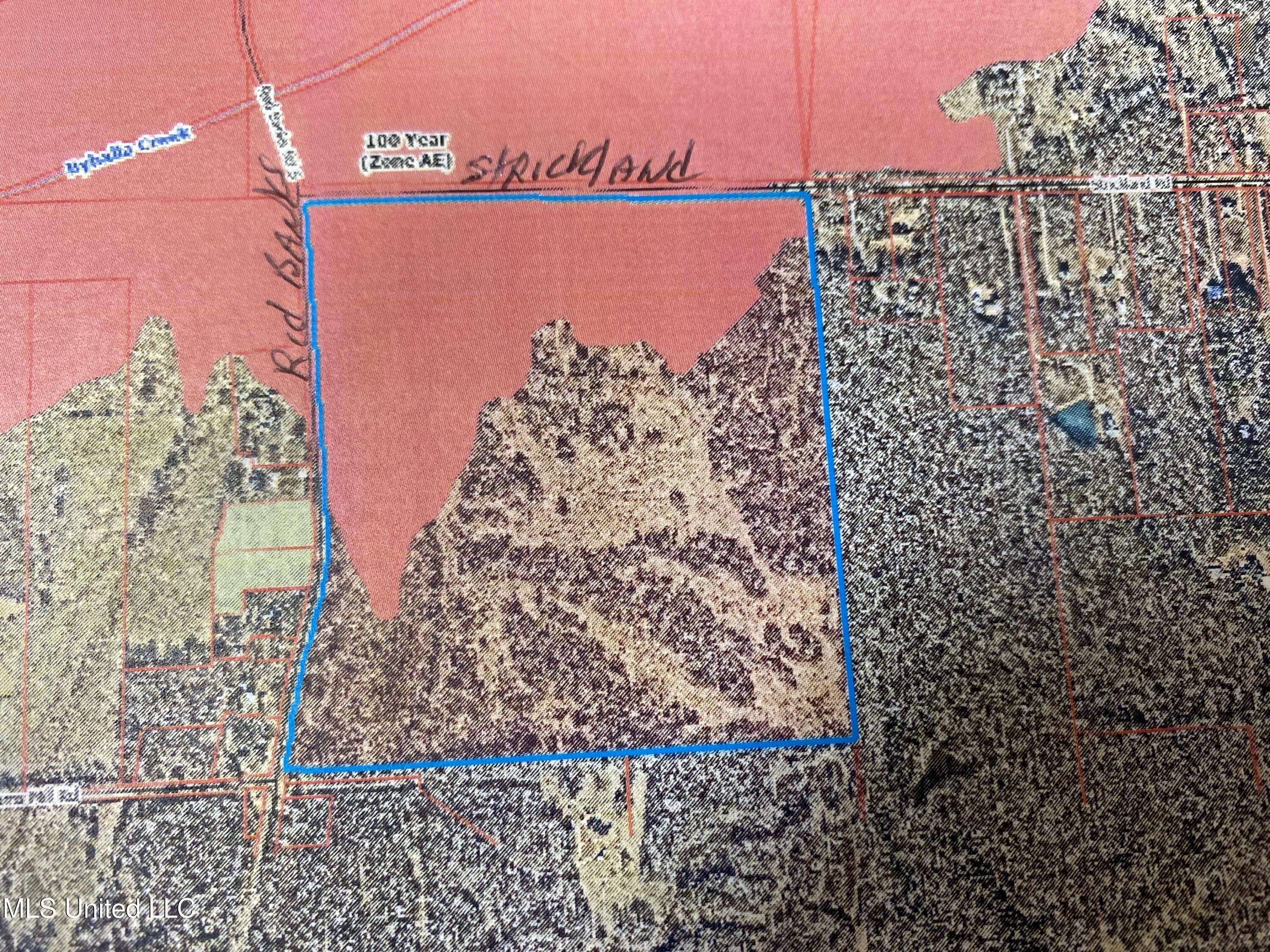 Byhalia, MS 38611,Strickland
