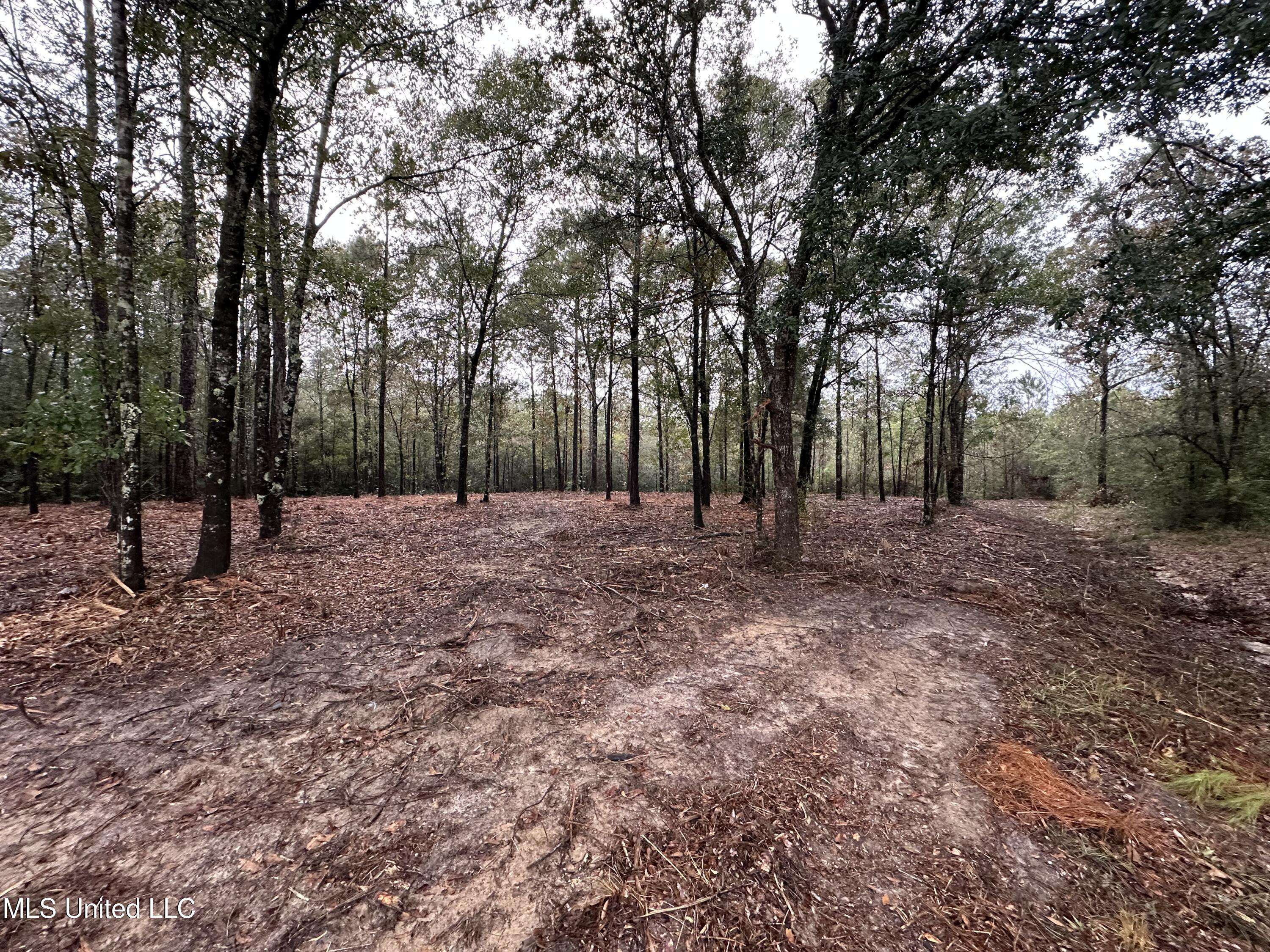 Vancleave, MS 39565,0 Robin Street
