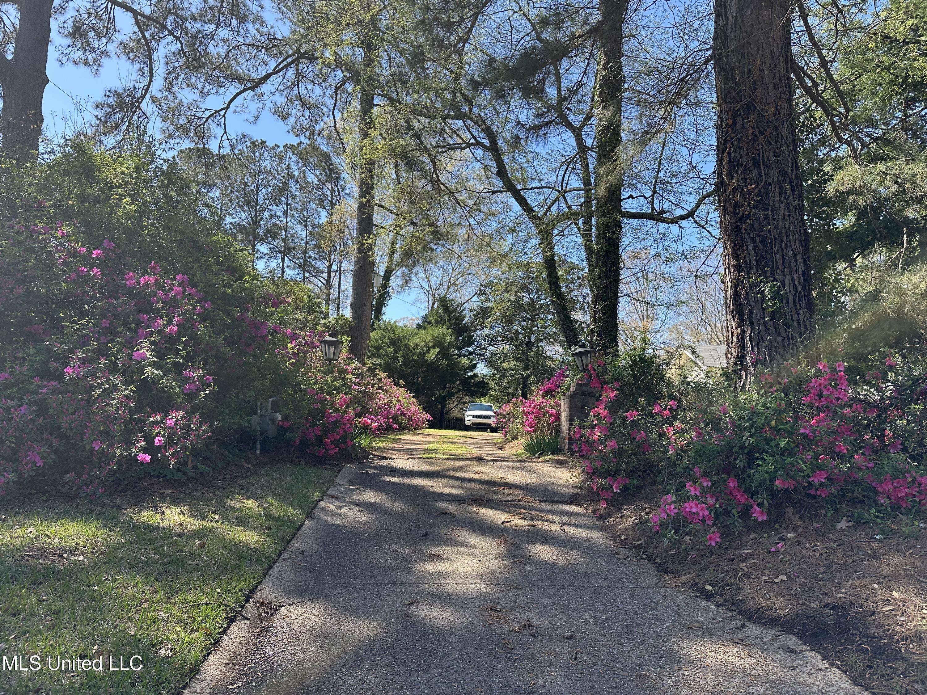 Natchez, MS 39120,220 Lower Woodville Road