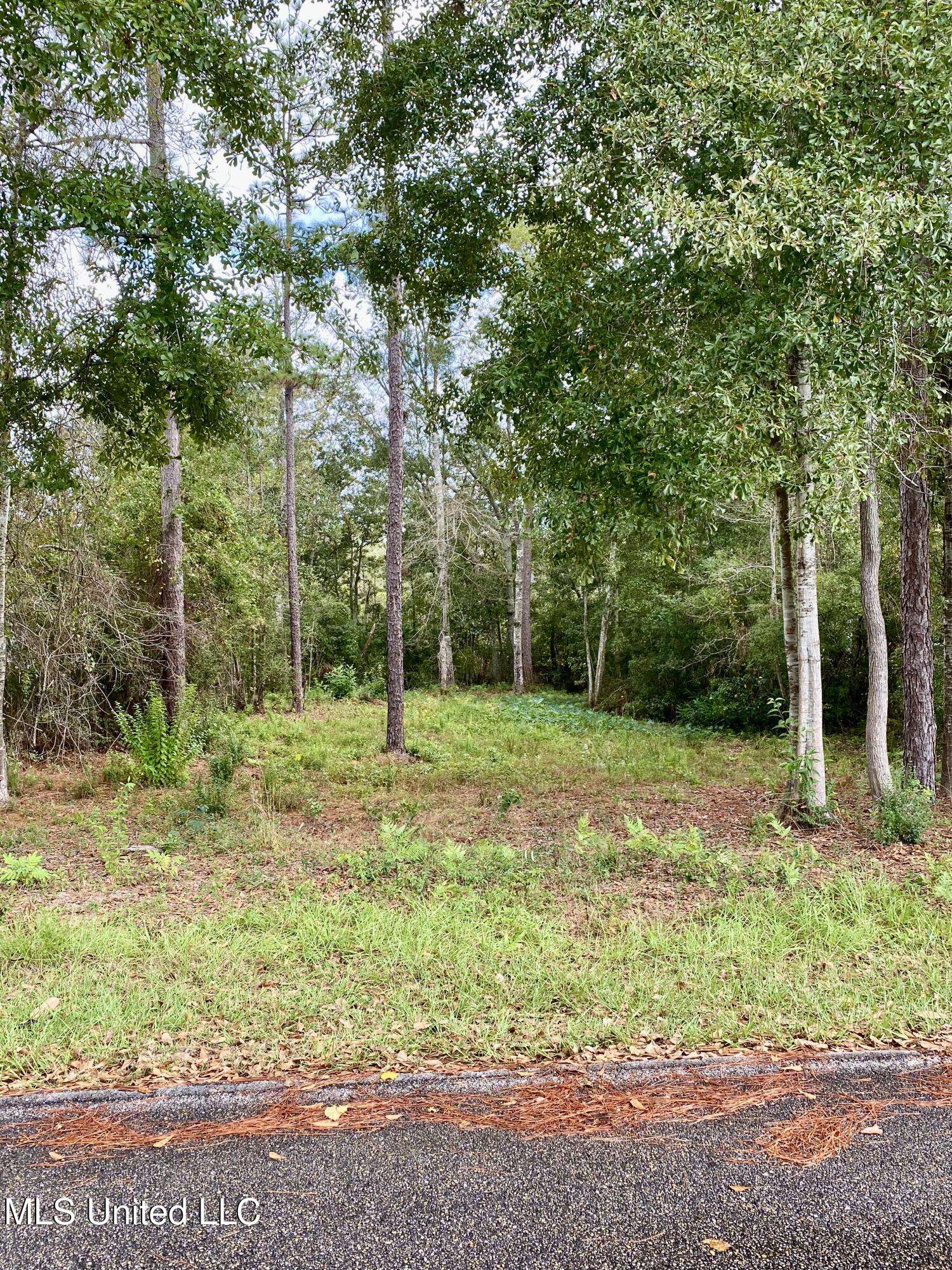 Carriere, MS 39426,941 W Lakeshore Drive