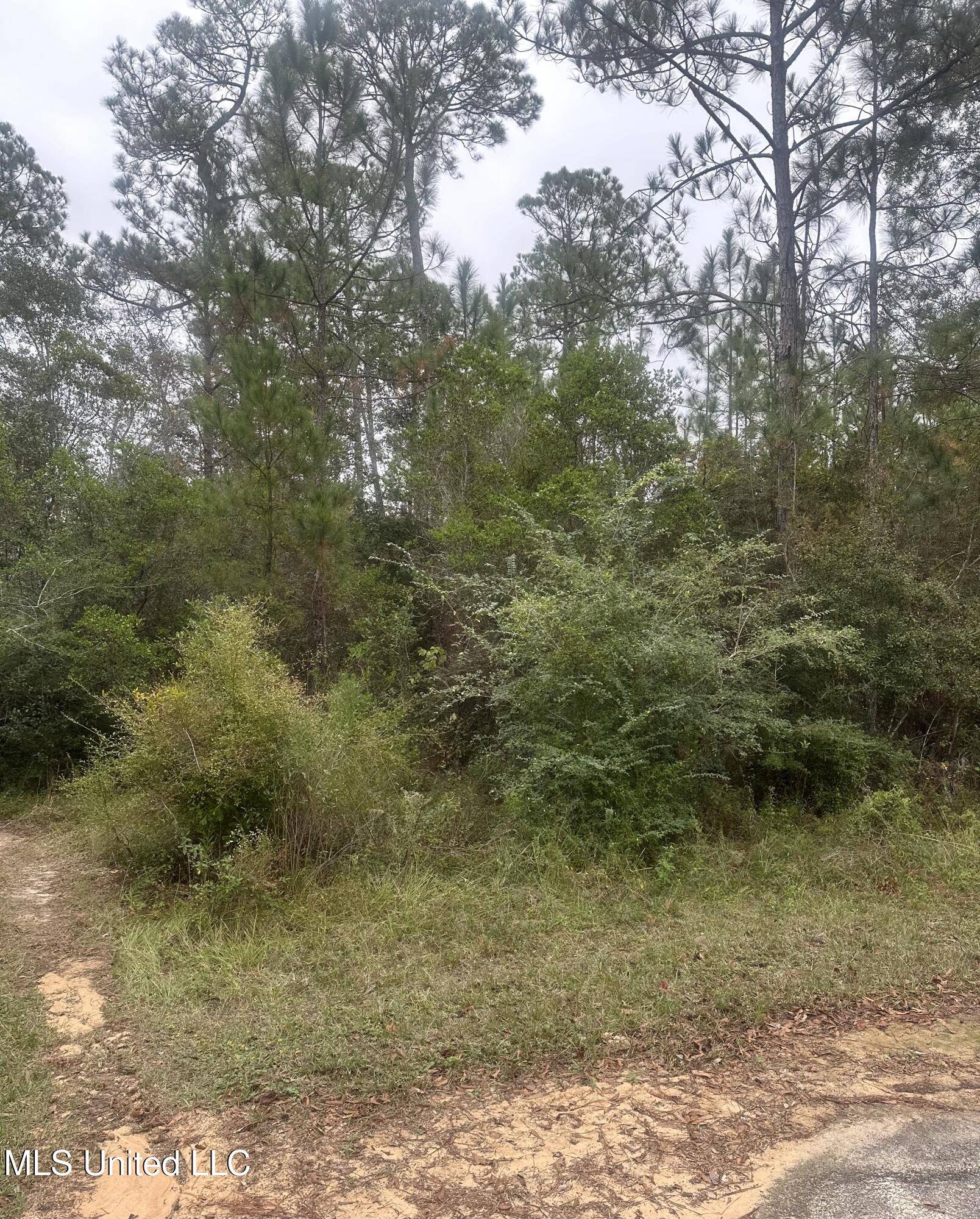 Vancleave, MS 39565,Oakplace Drive