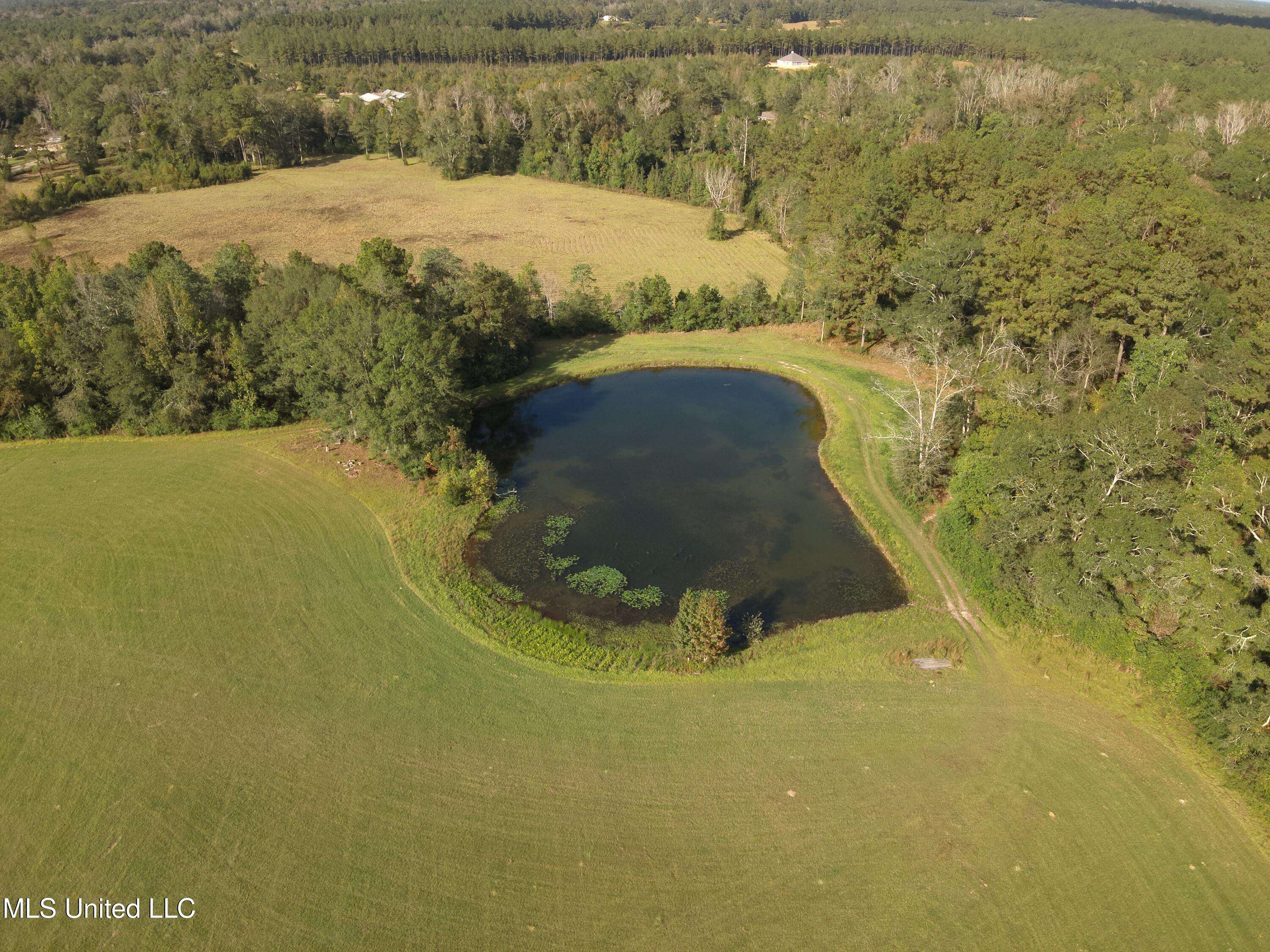 Carriere, MS 39426,478 Sones Chapel Road