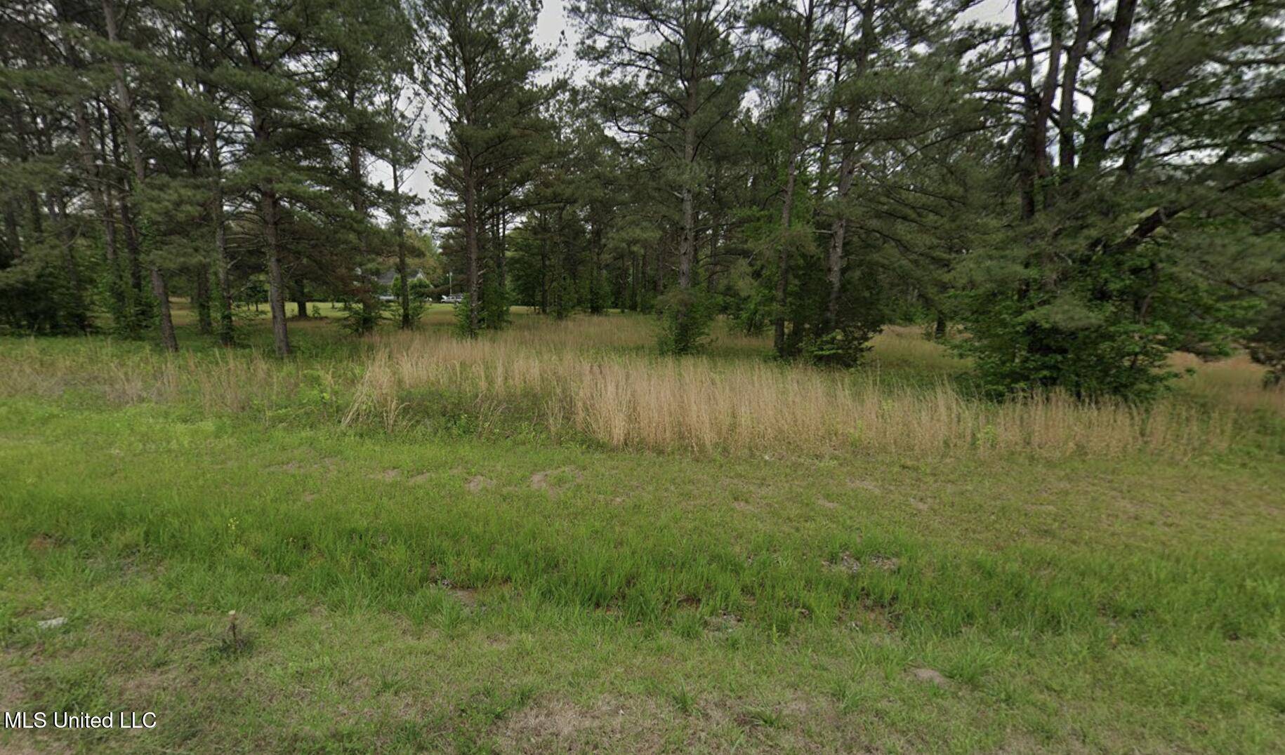 Canton, MS 39046,205 Cobbville Road
