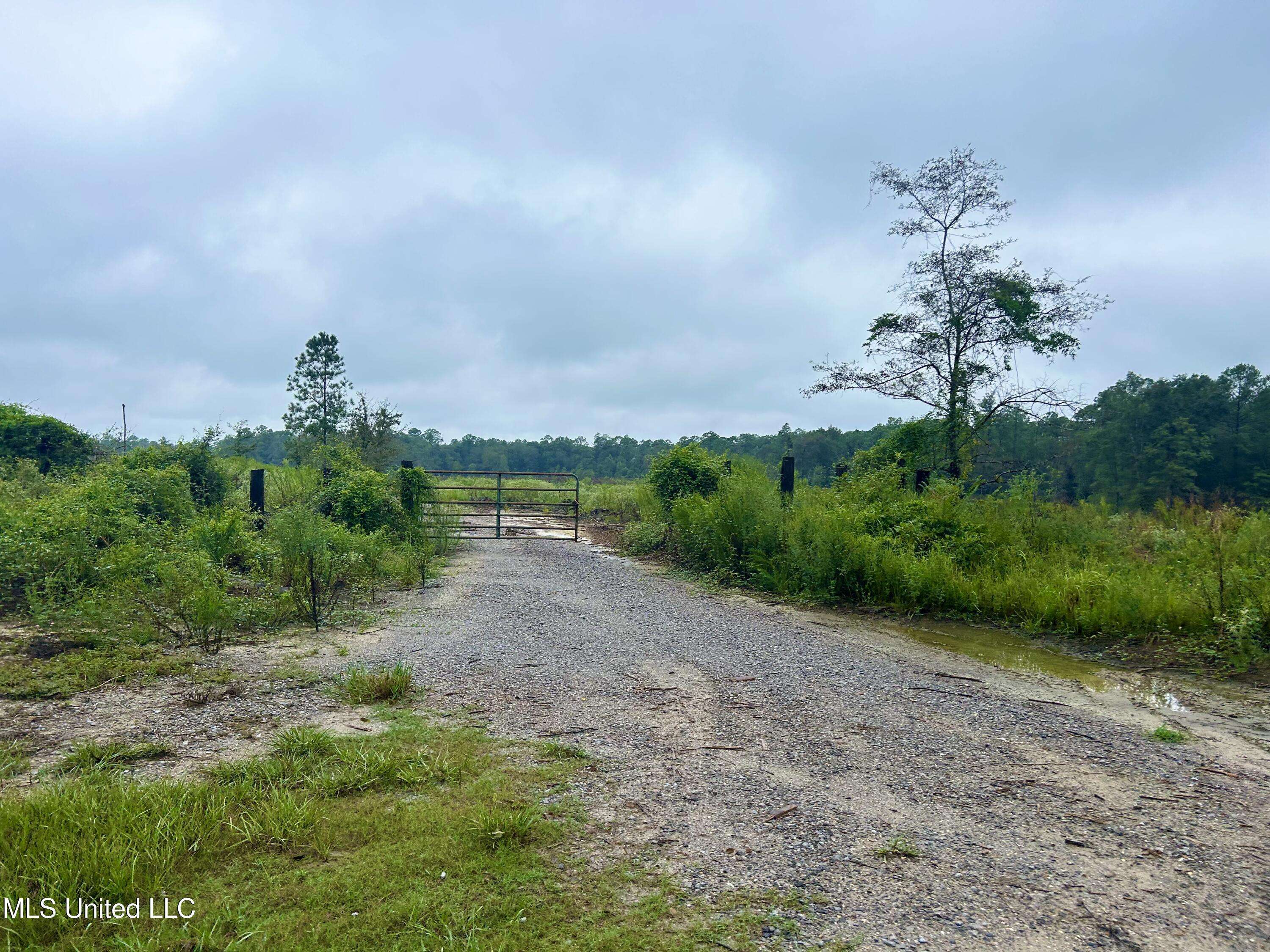 Vancleave, MS 39565,Campground Rd/ Indian Lane