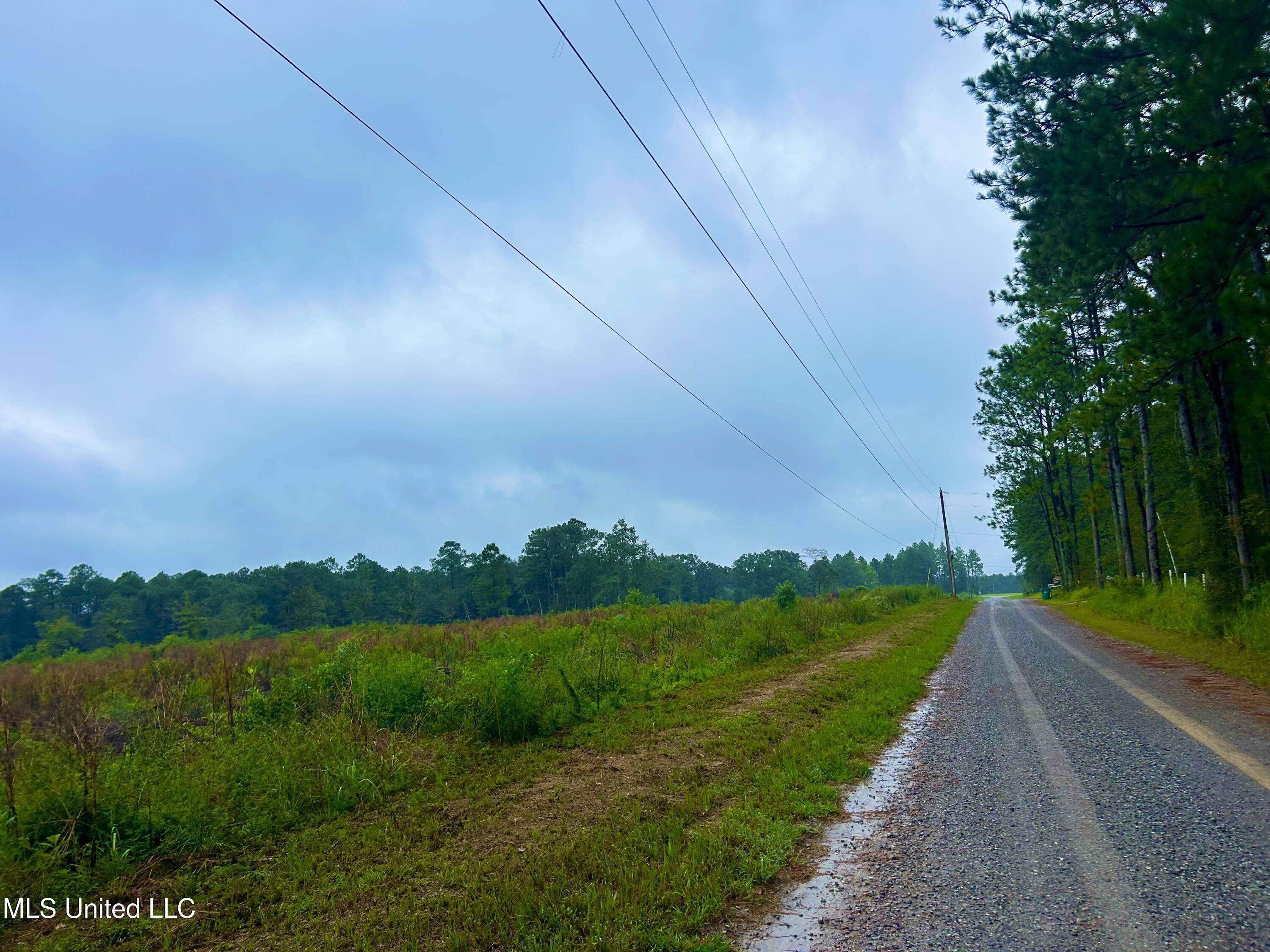 Vancleave, MS 39565,Campground Rd/ Indian Lane