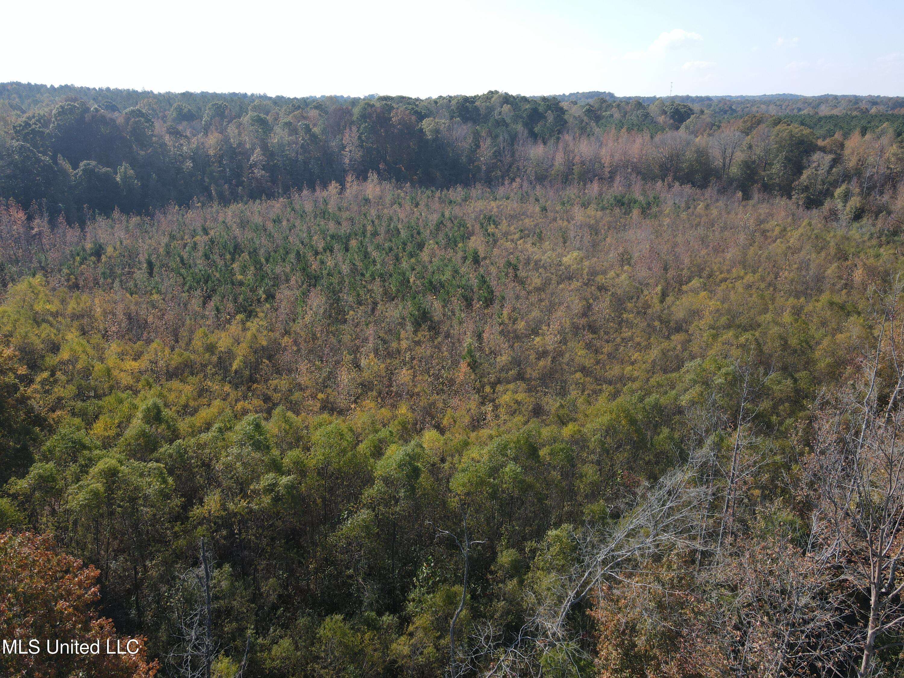 Myrtle, MS 38650,Co Rd 2