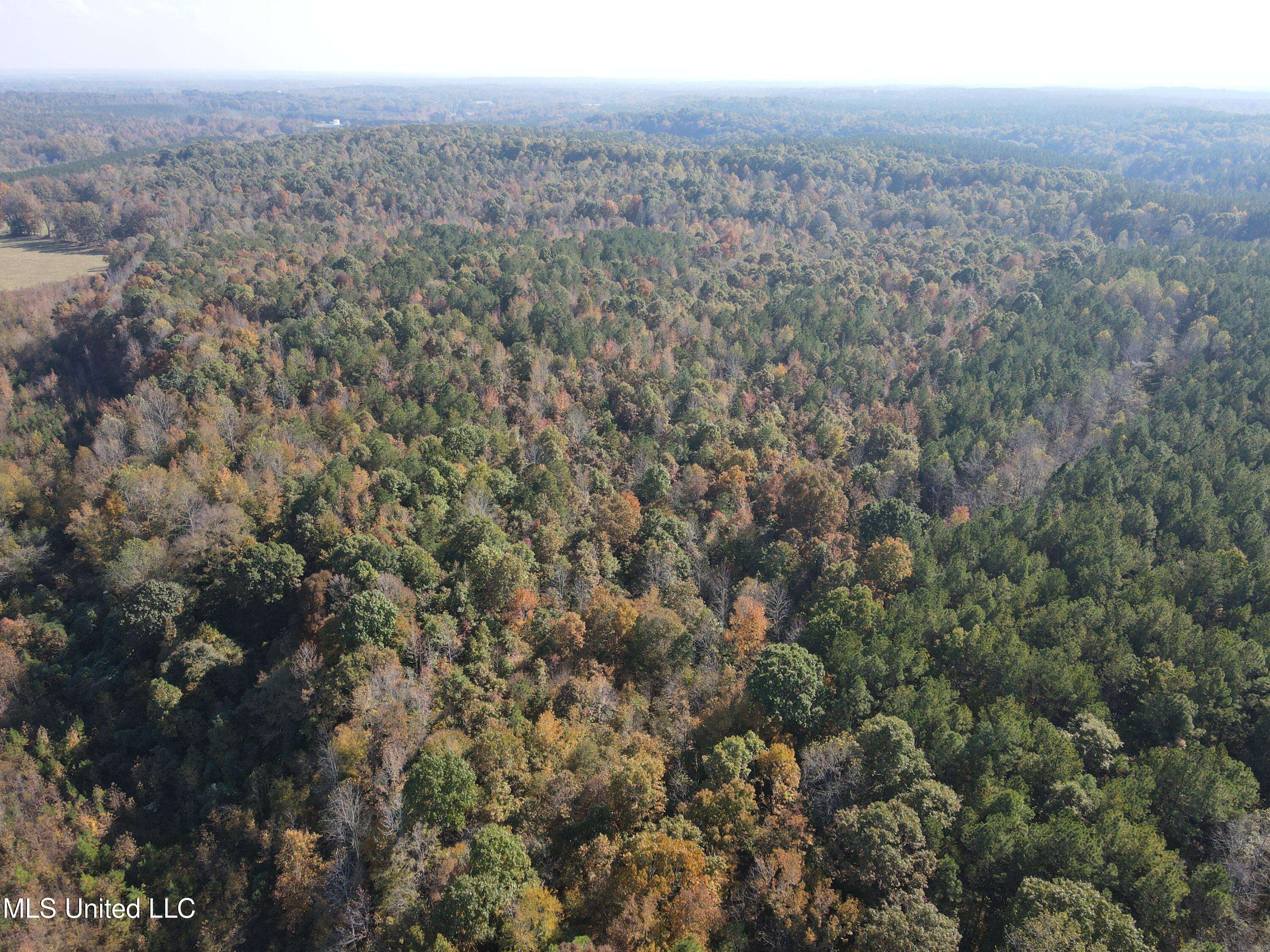 Myrtle, MS 38650,Co Rd 2