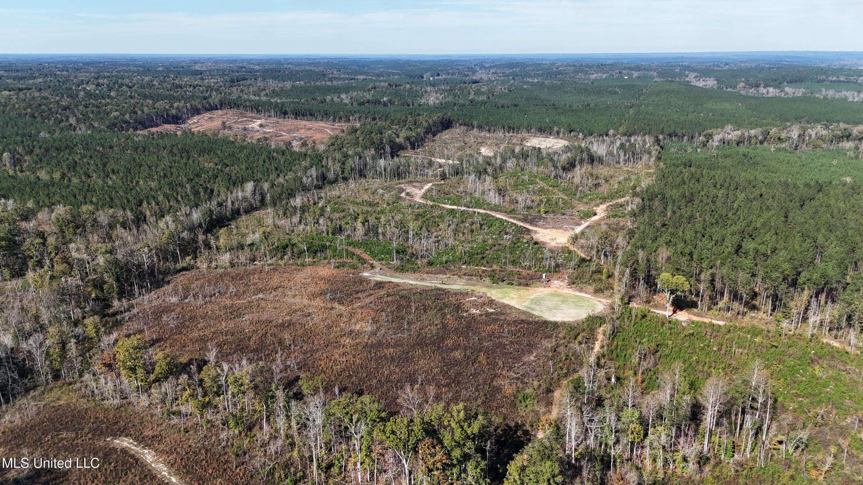 Union, MS 39365,Little Rock County Line Road Road